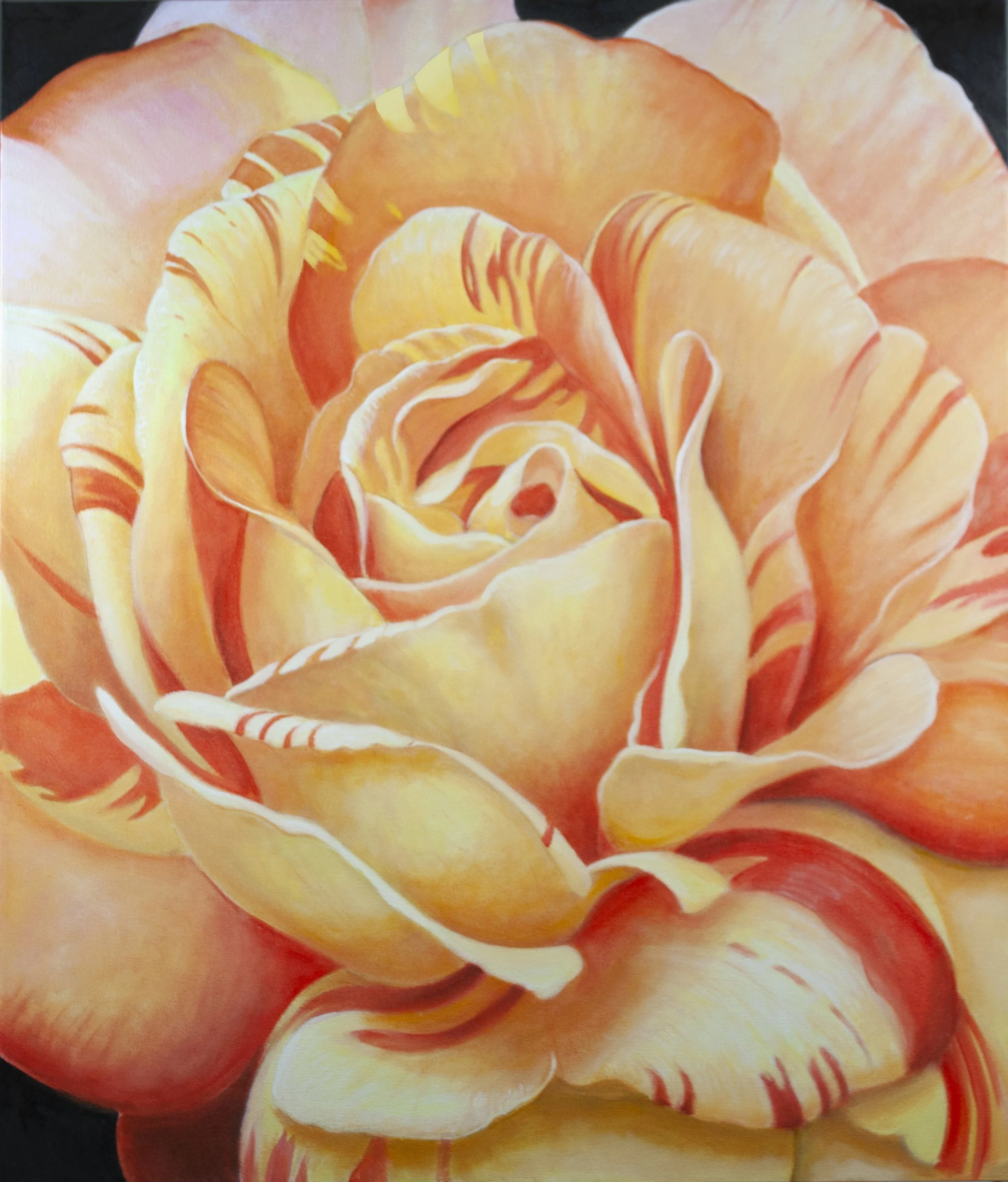 YELLOW RED ROSE