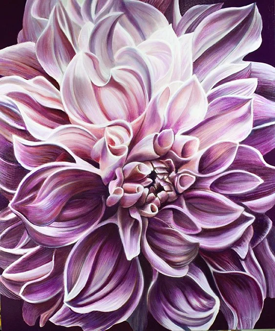 Hello Dahlia
