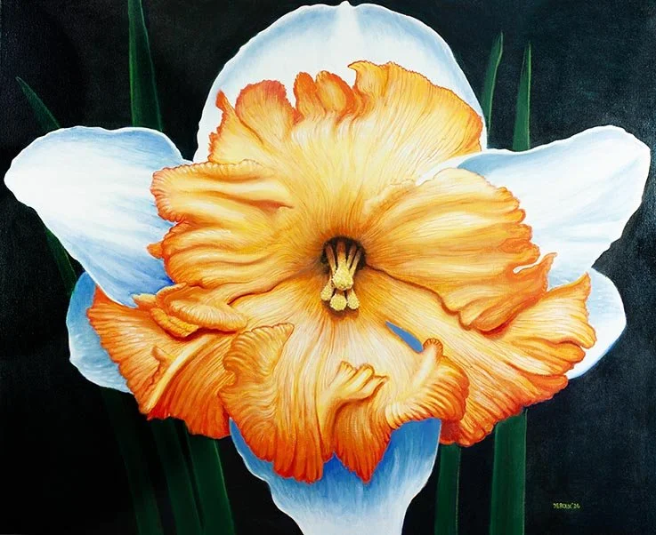 TAURUS DAFFODIL