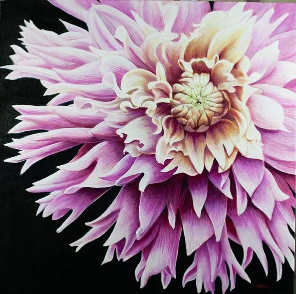 HEDJMINK'S DAHLIA