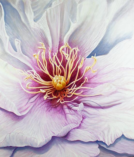 PEONY 170