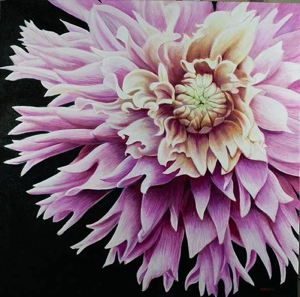 HEDJMENK'S DAHLIA