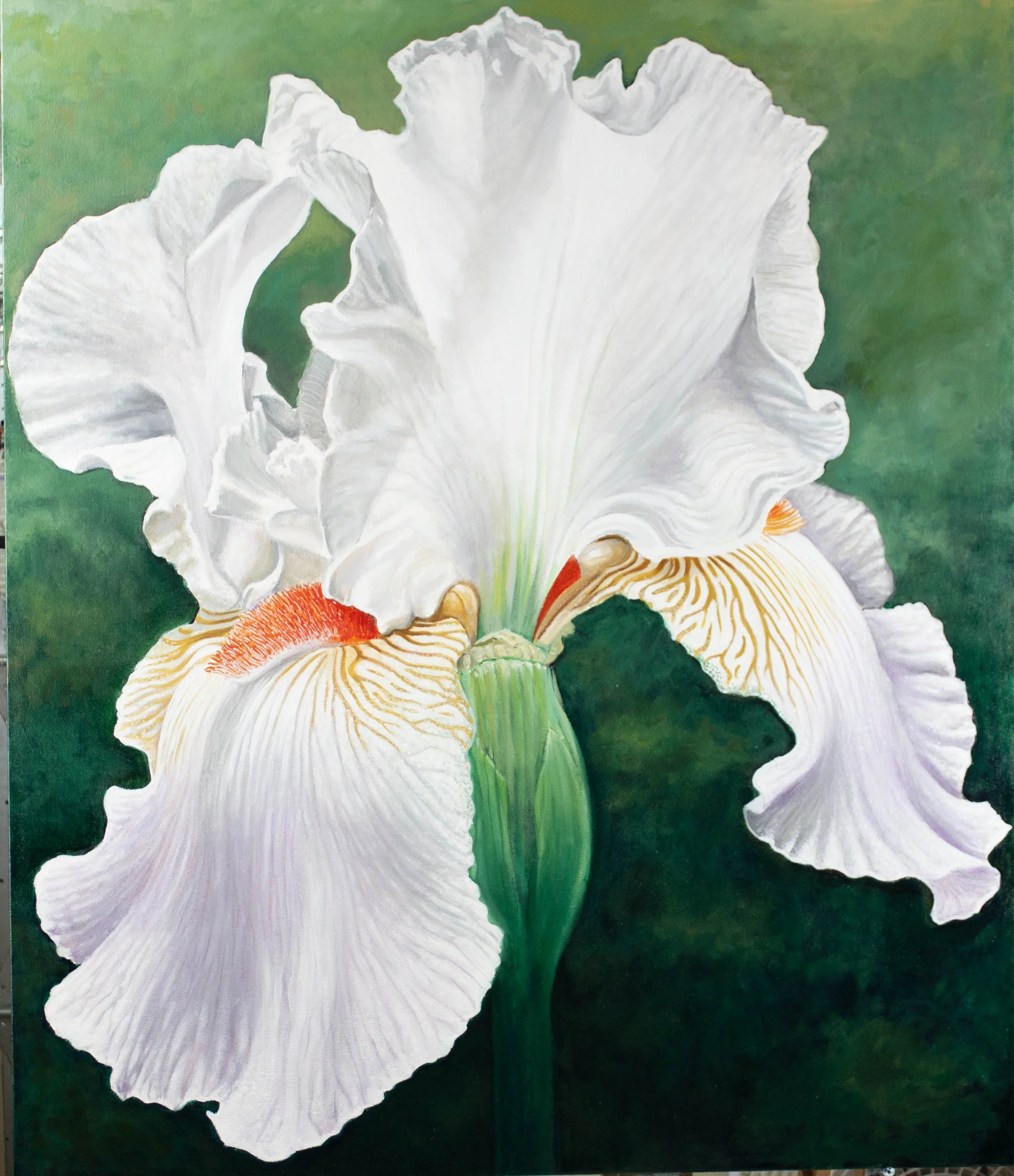 MANON'S IRIS
