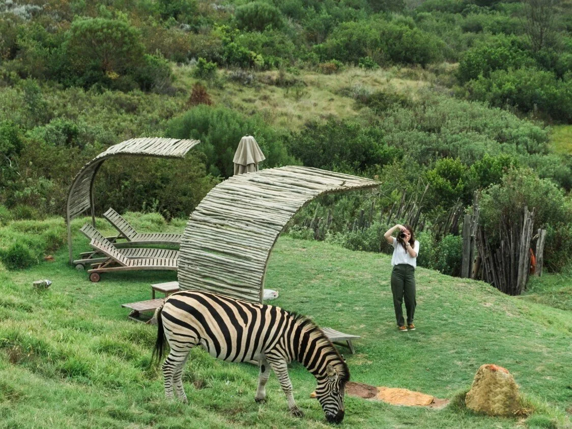 Zebra Game Reserve.jpg