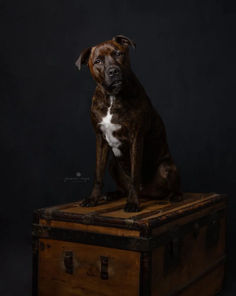 Jannene Meyer Photography 8.jpg