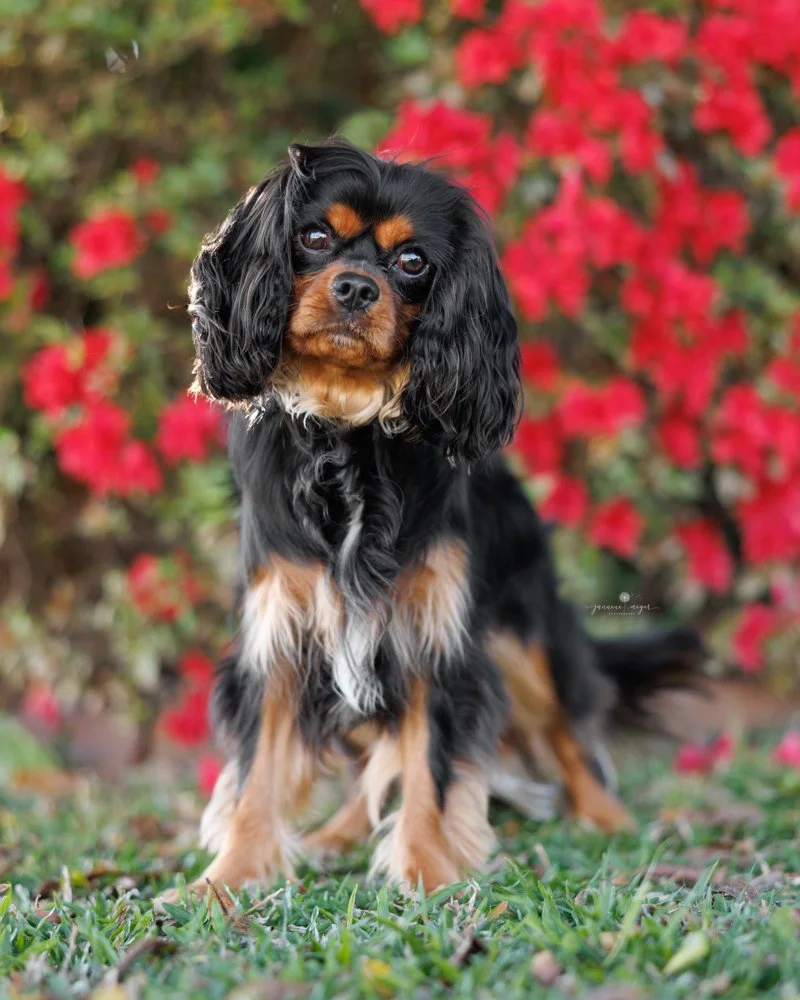 Jannene Meyer Photography 22.jpg
