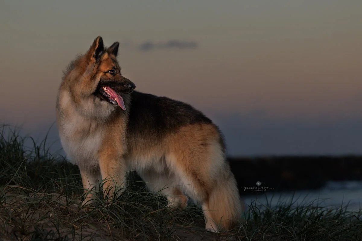 Jannene Meyer Photography 290.jpg