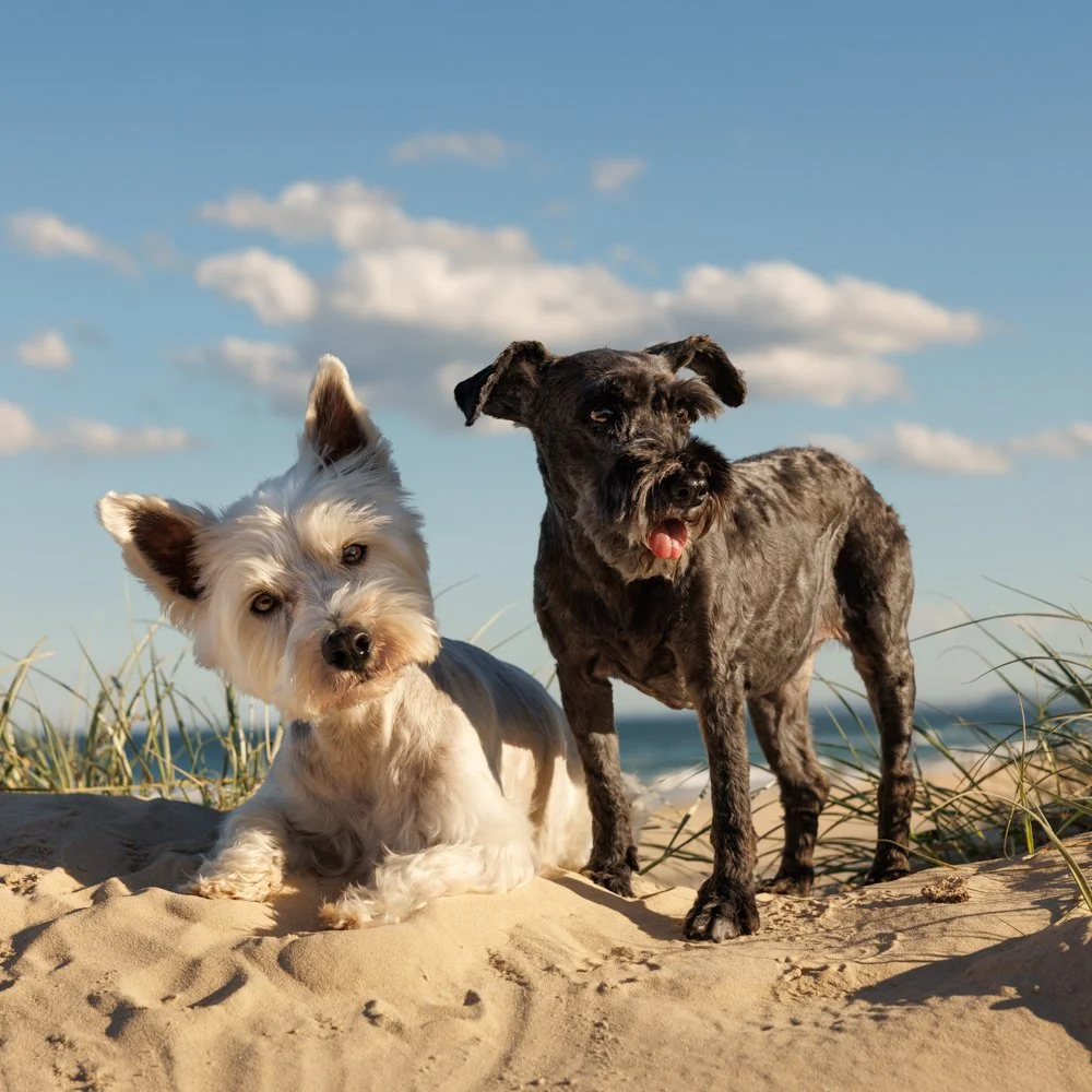 182 social media only .jpg