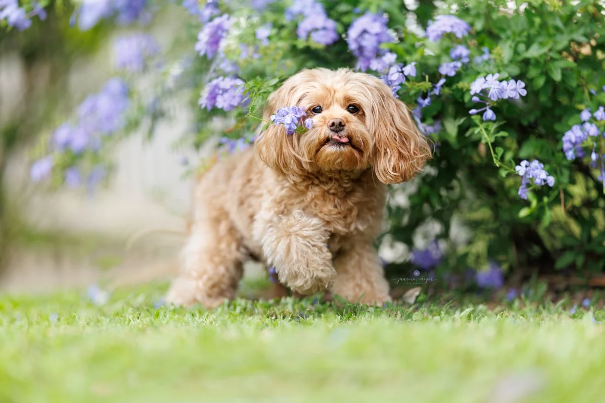 Jannene Meyer Photography 25 2.0.jpg