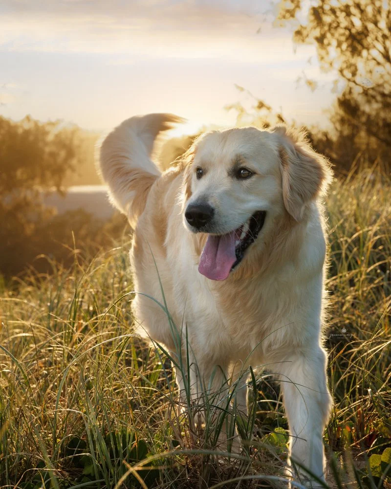 Jannene Meyer Photography 344.jpg