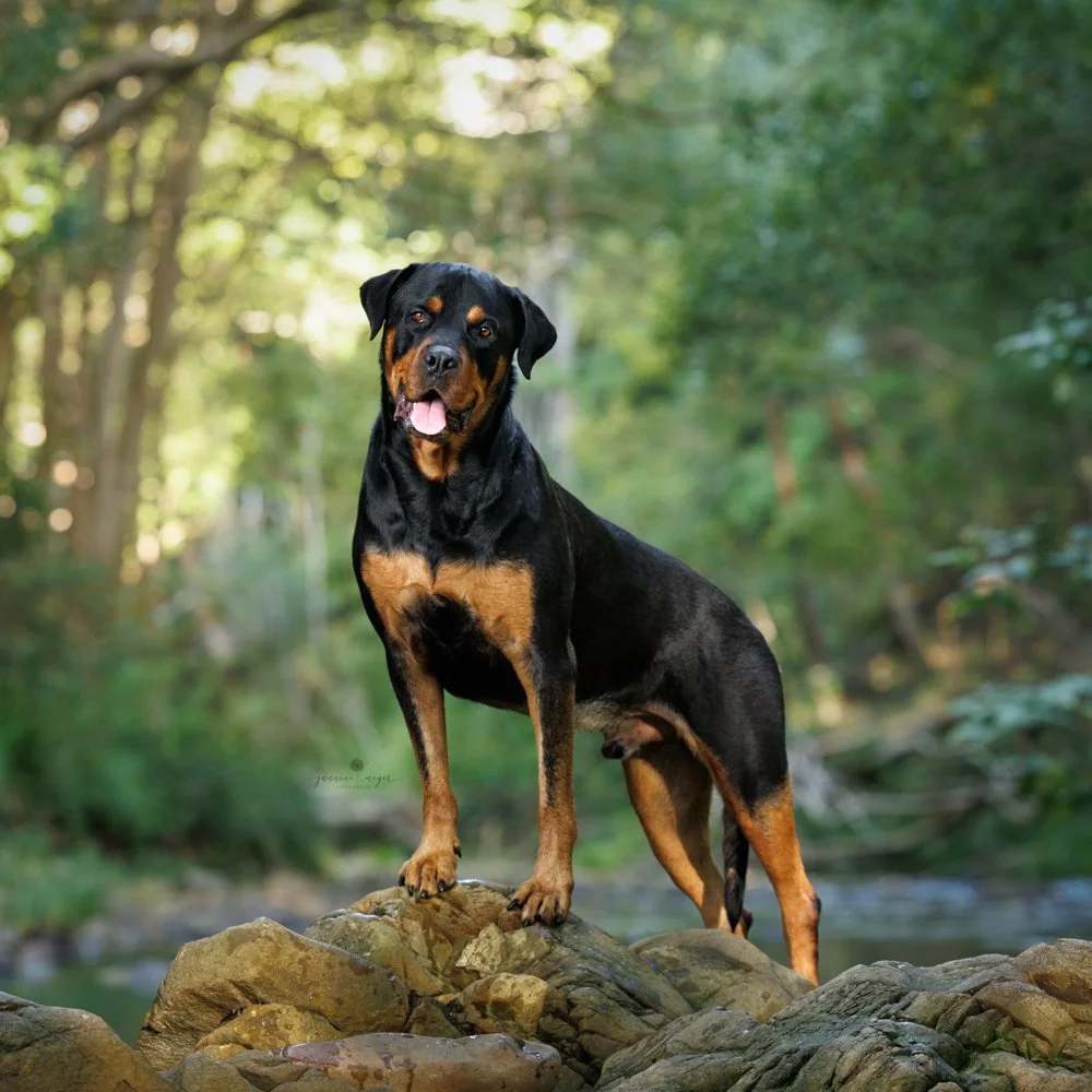 Jannene Meyer Photography 334.jpg