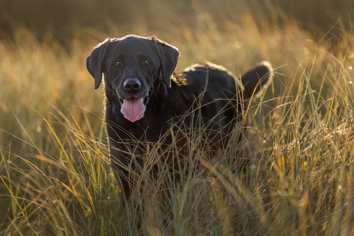 Jannene Meyer Photography 2.0420.jpg