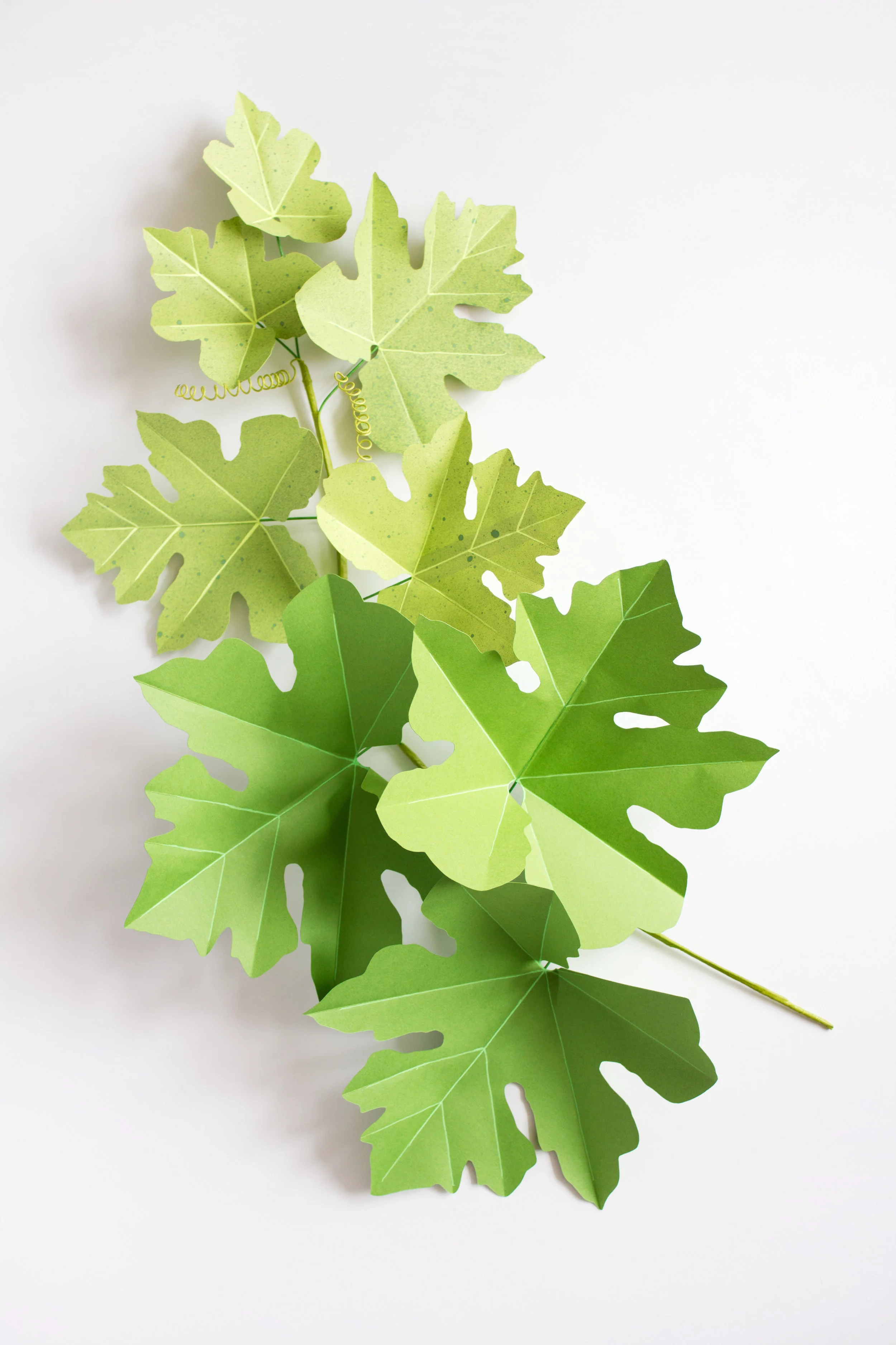 CorrieBethHogg_HandmadeHouseplants_squashstep8.jpg