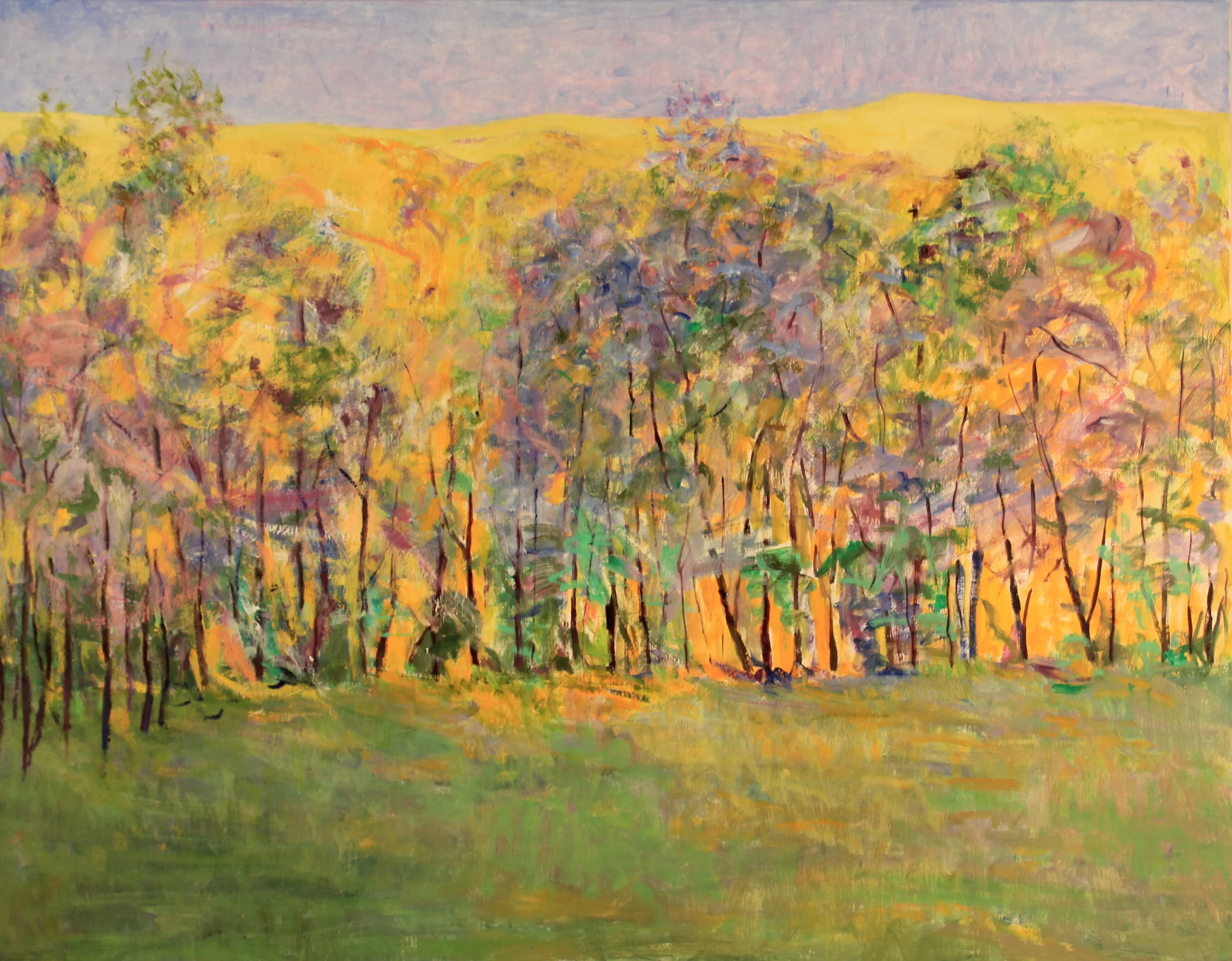 36x46. Oil on canvas. B6.