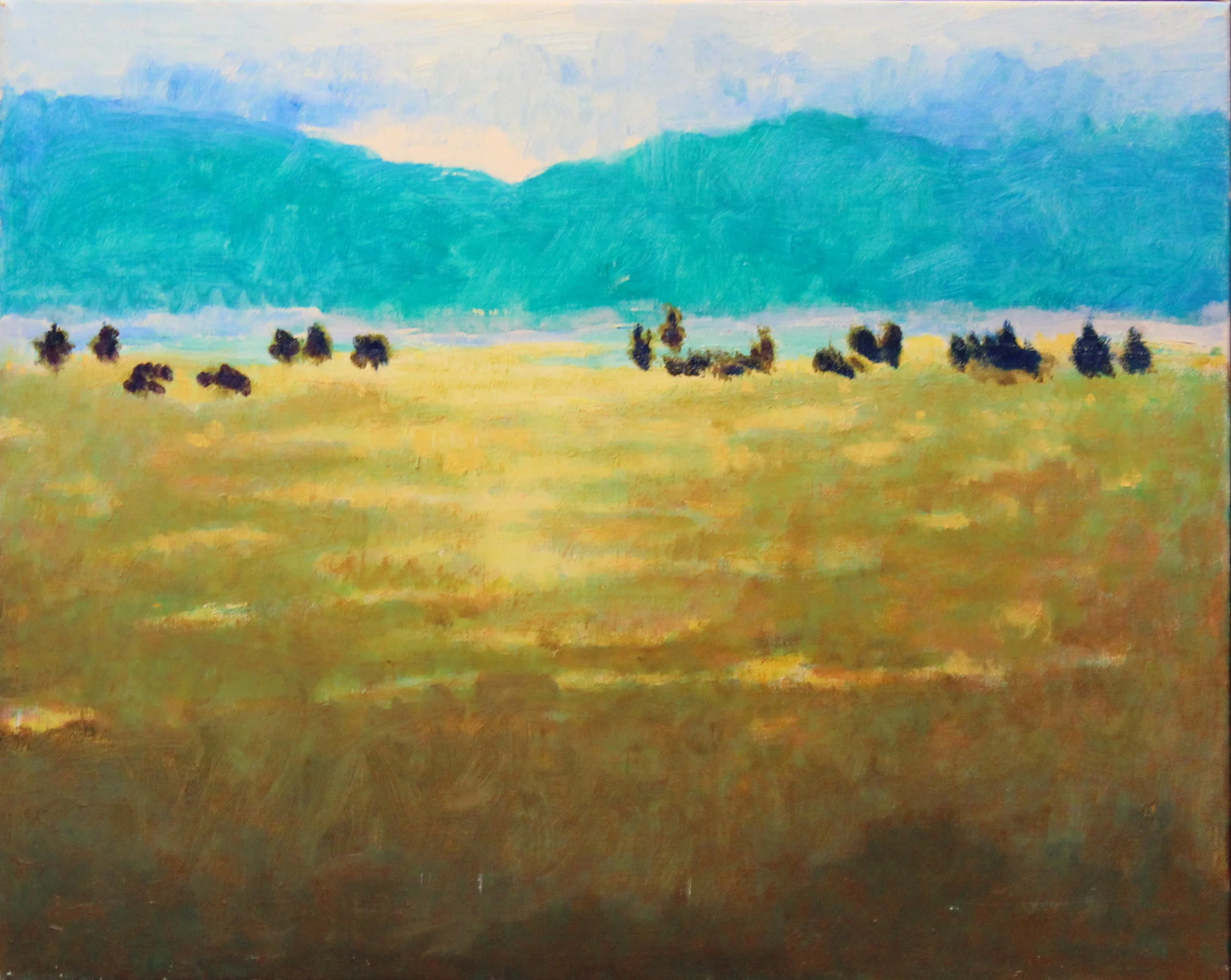 16x20. Oil on canvas. B53.