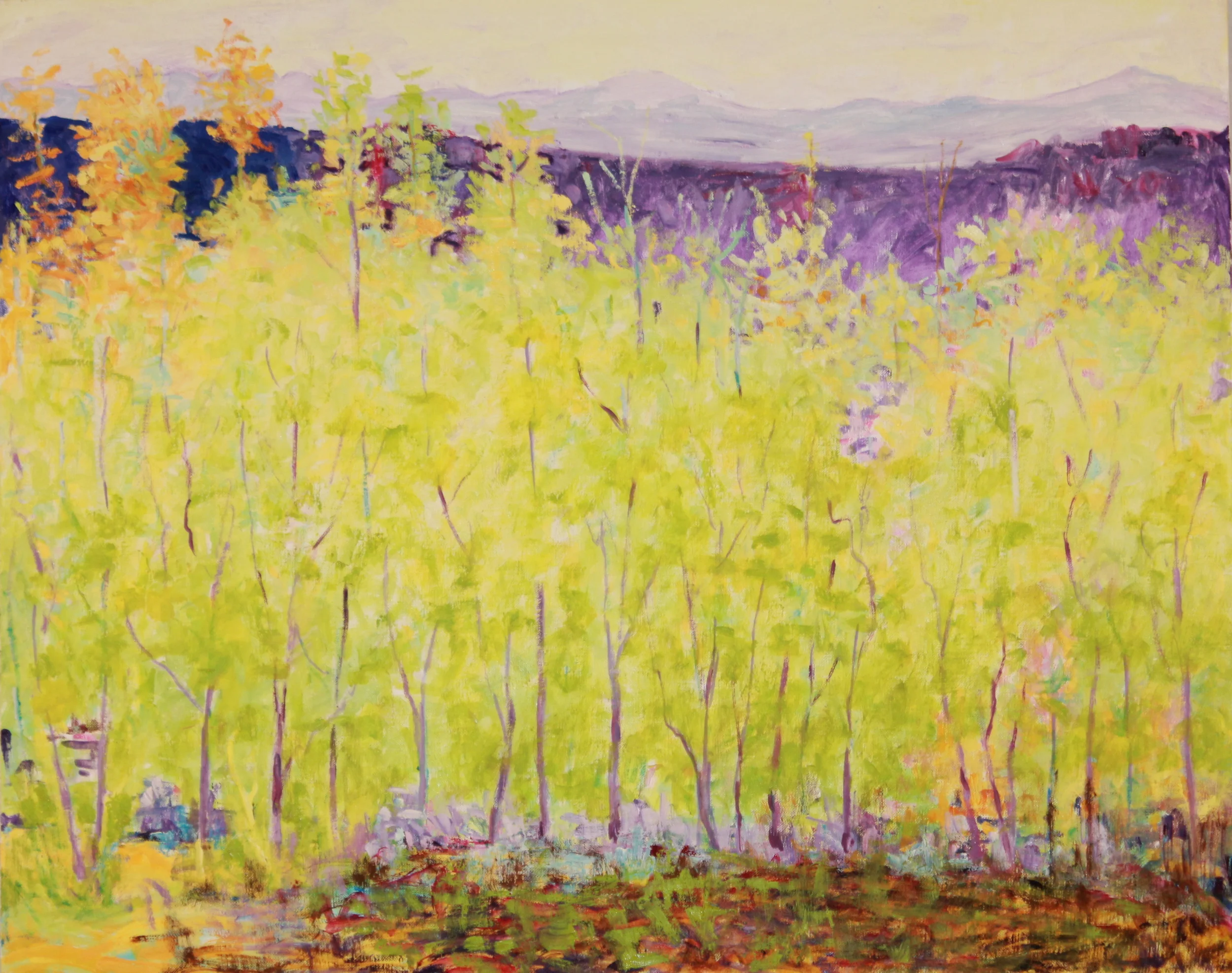 26x38. Oil on canvas. C3.