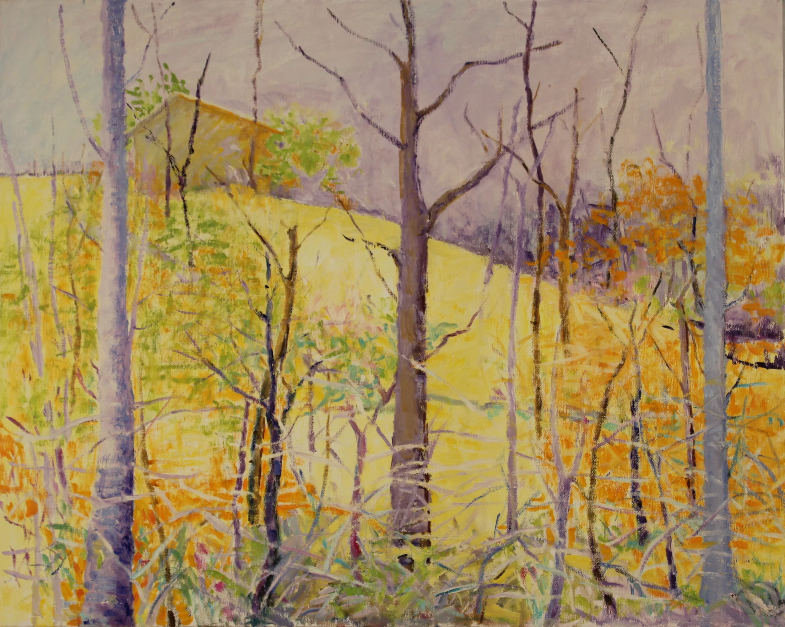 32x40. Oil on canvas. C4.