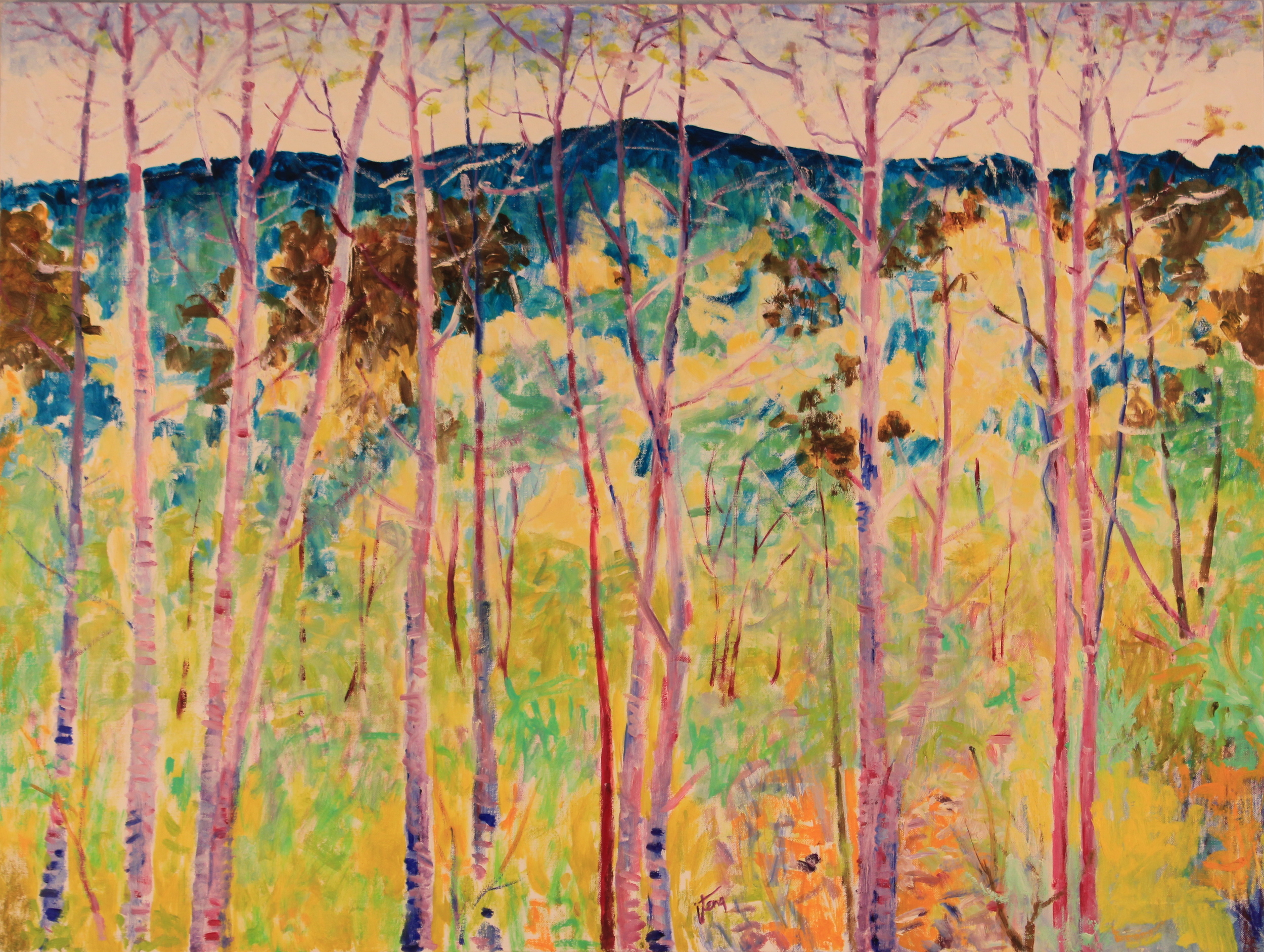 30x40. Oil on canvas. C8.