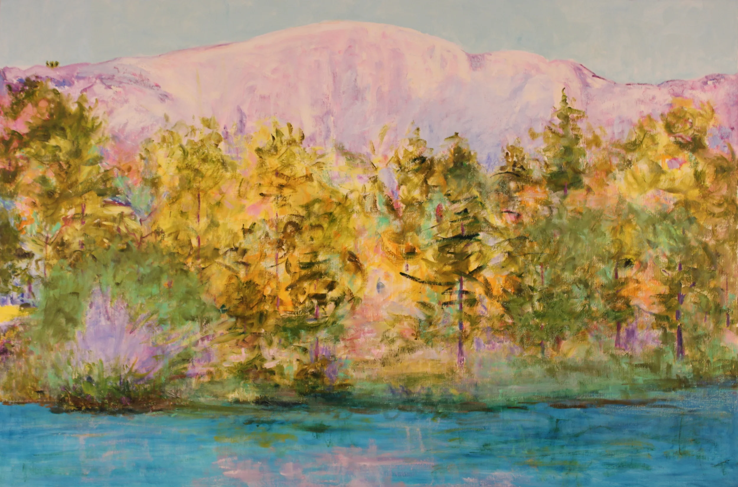 36x54. Oil on canvas. C11.