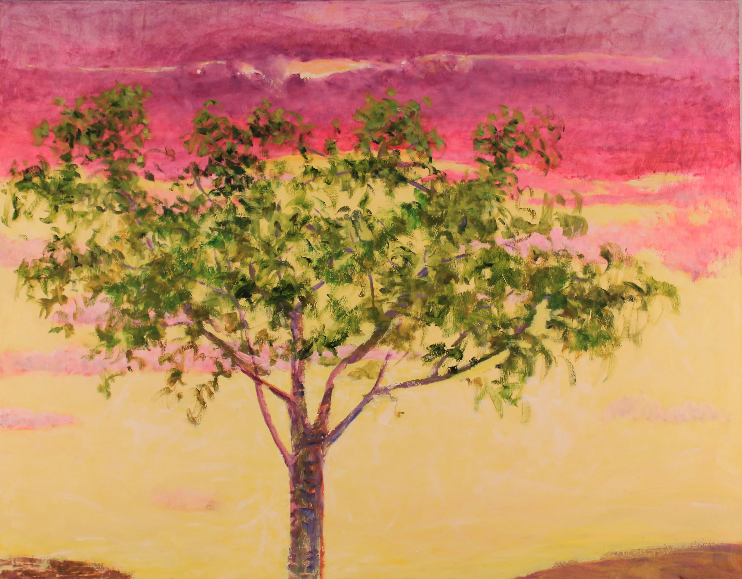 36x46. Oil on canvas. C15.