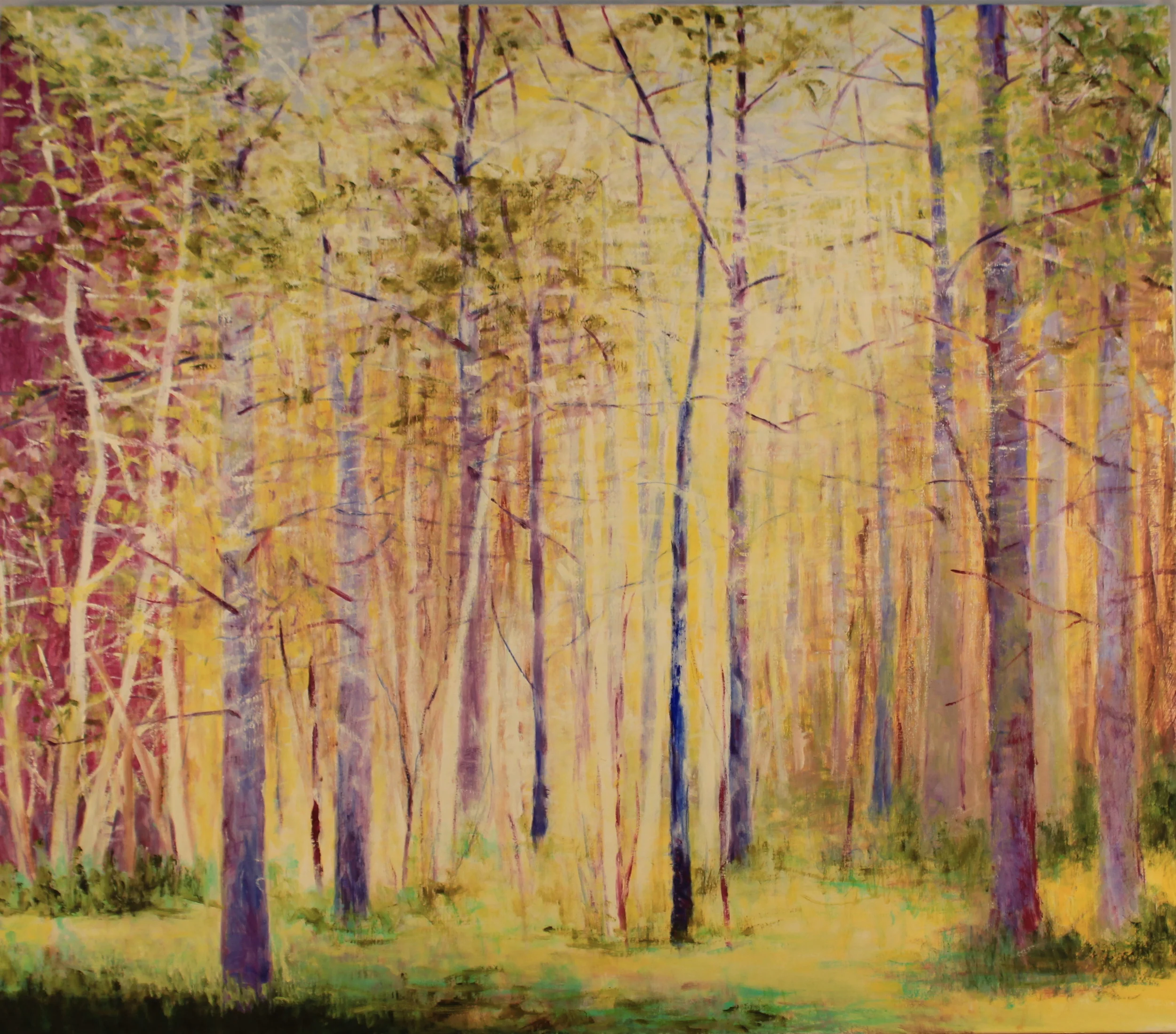 40x46. Oil on canvas. C16.