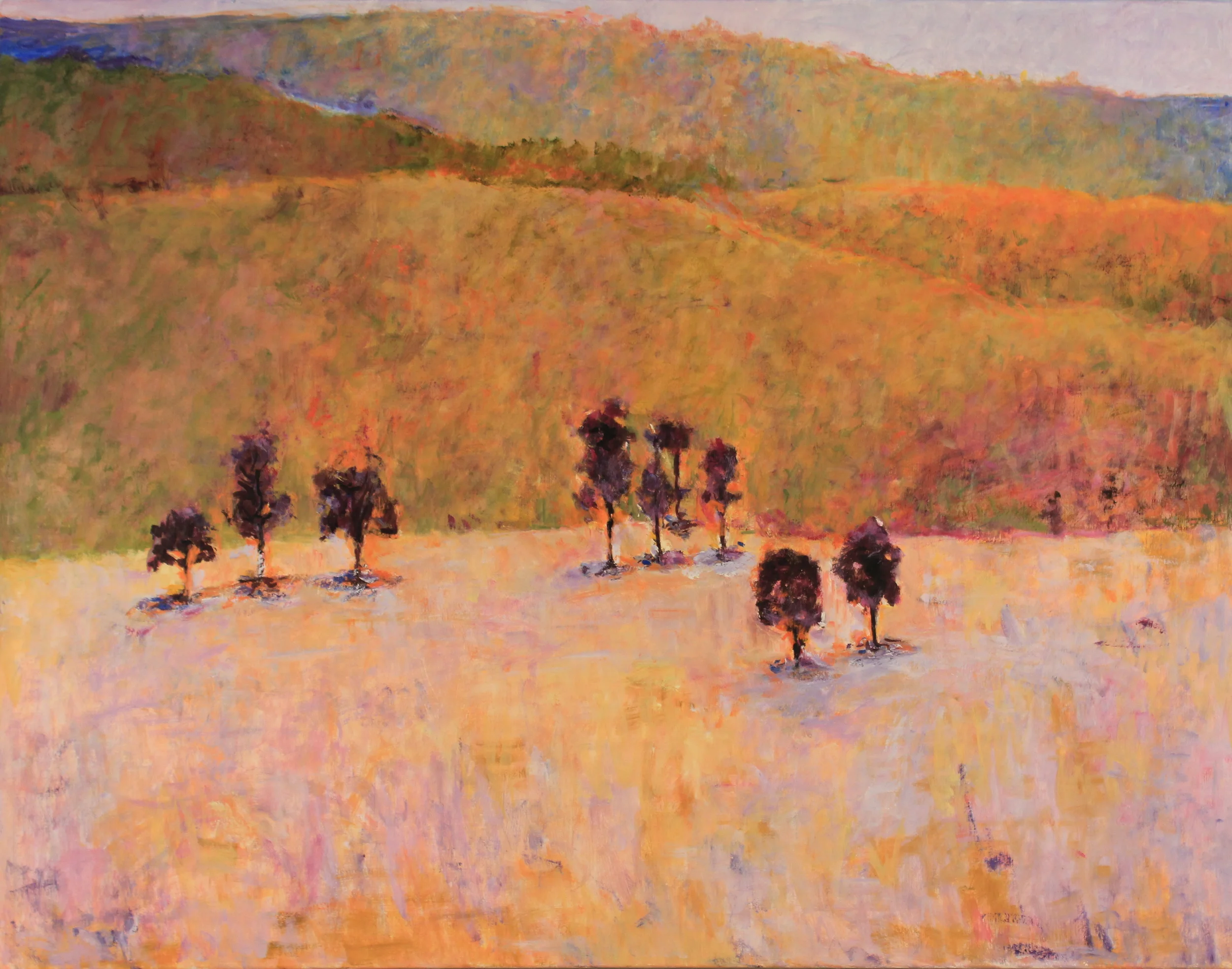 36x46. Oil on canvas. C17.