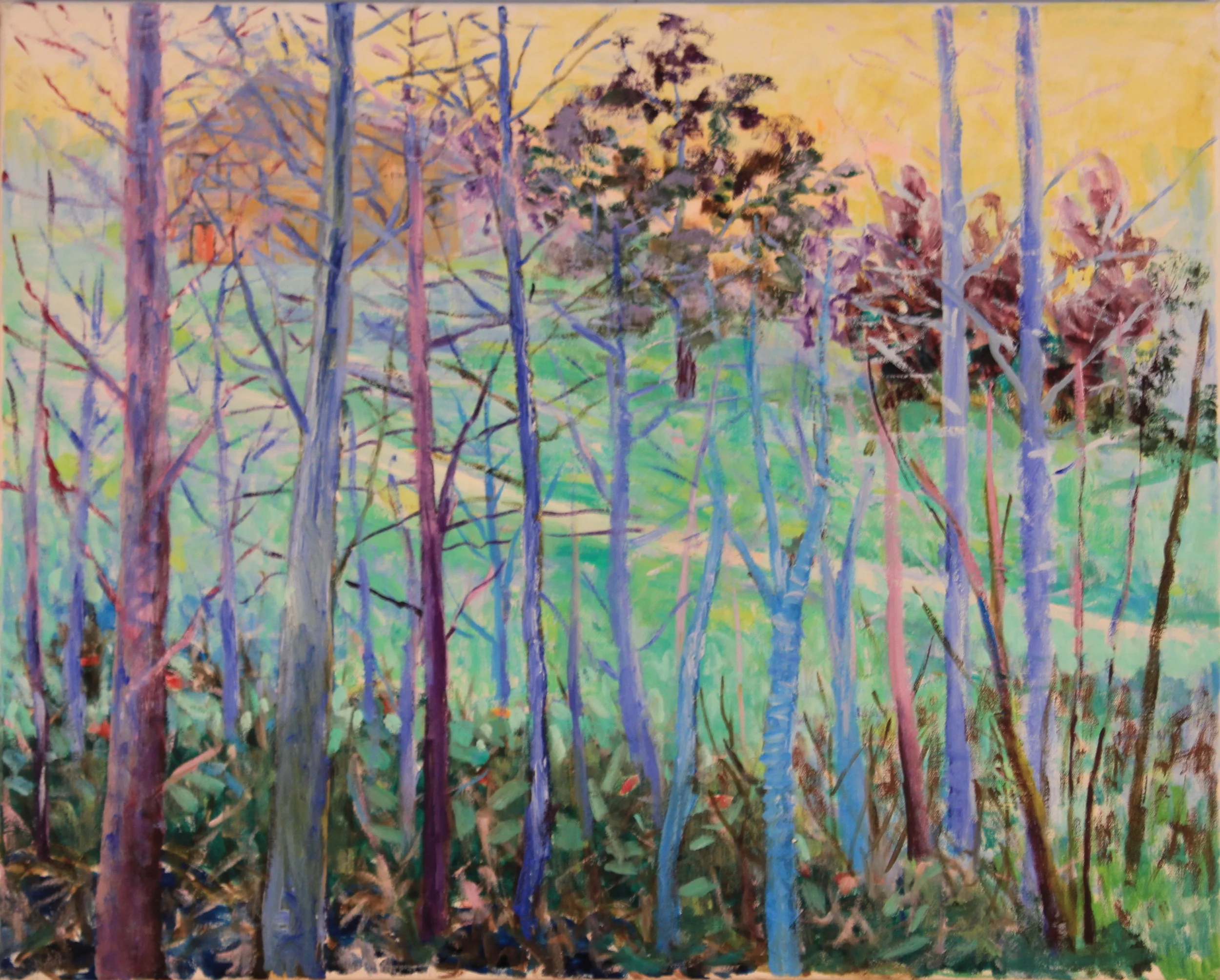 24x30. Oil on canvas. C30.