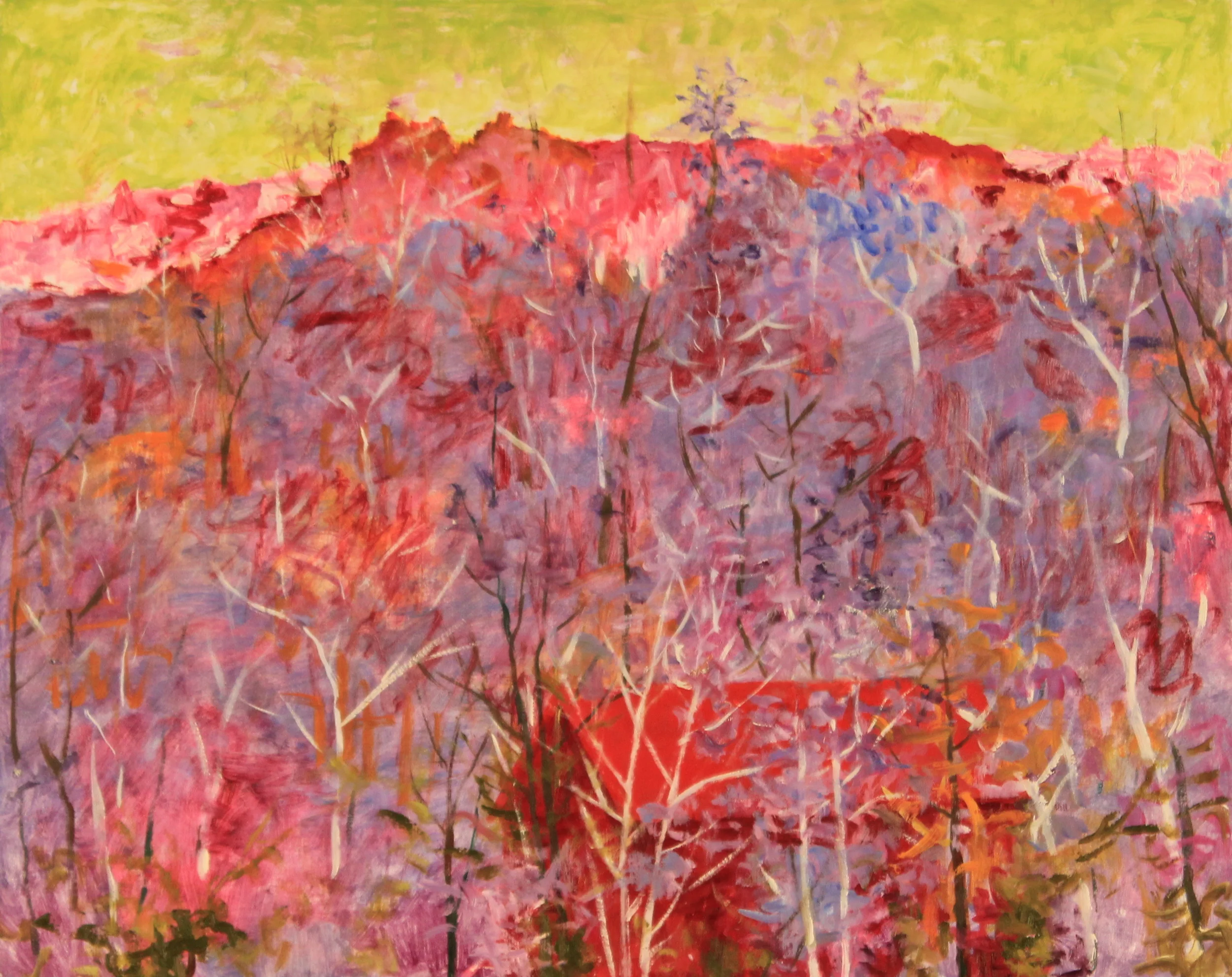 30x24. Oil on canvas. C38.