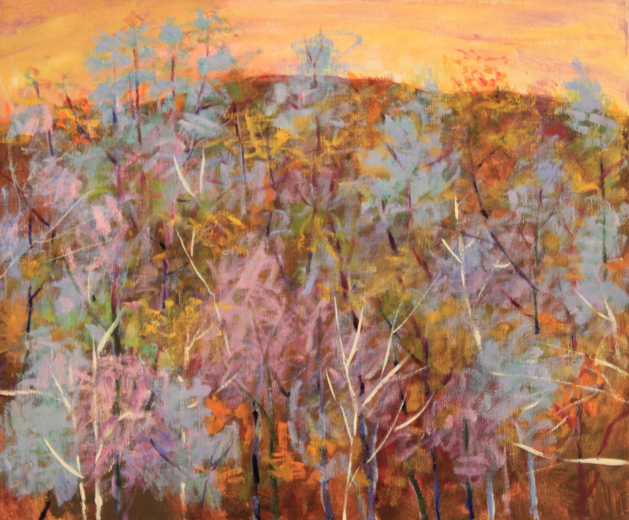 20x24. Oil on Canvas. C40.