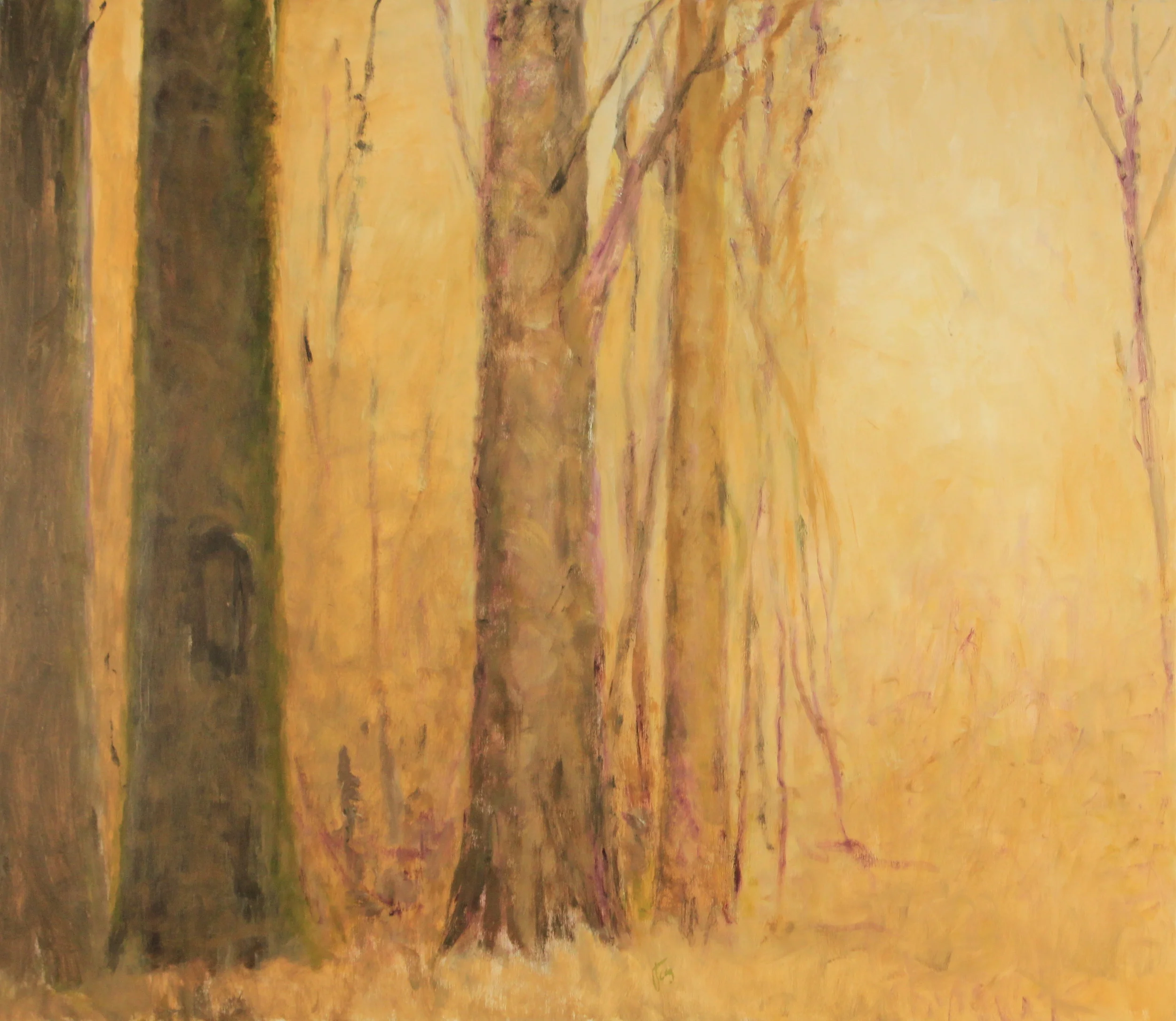 40x46. Oil on canvas. C42.