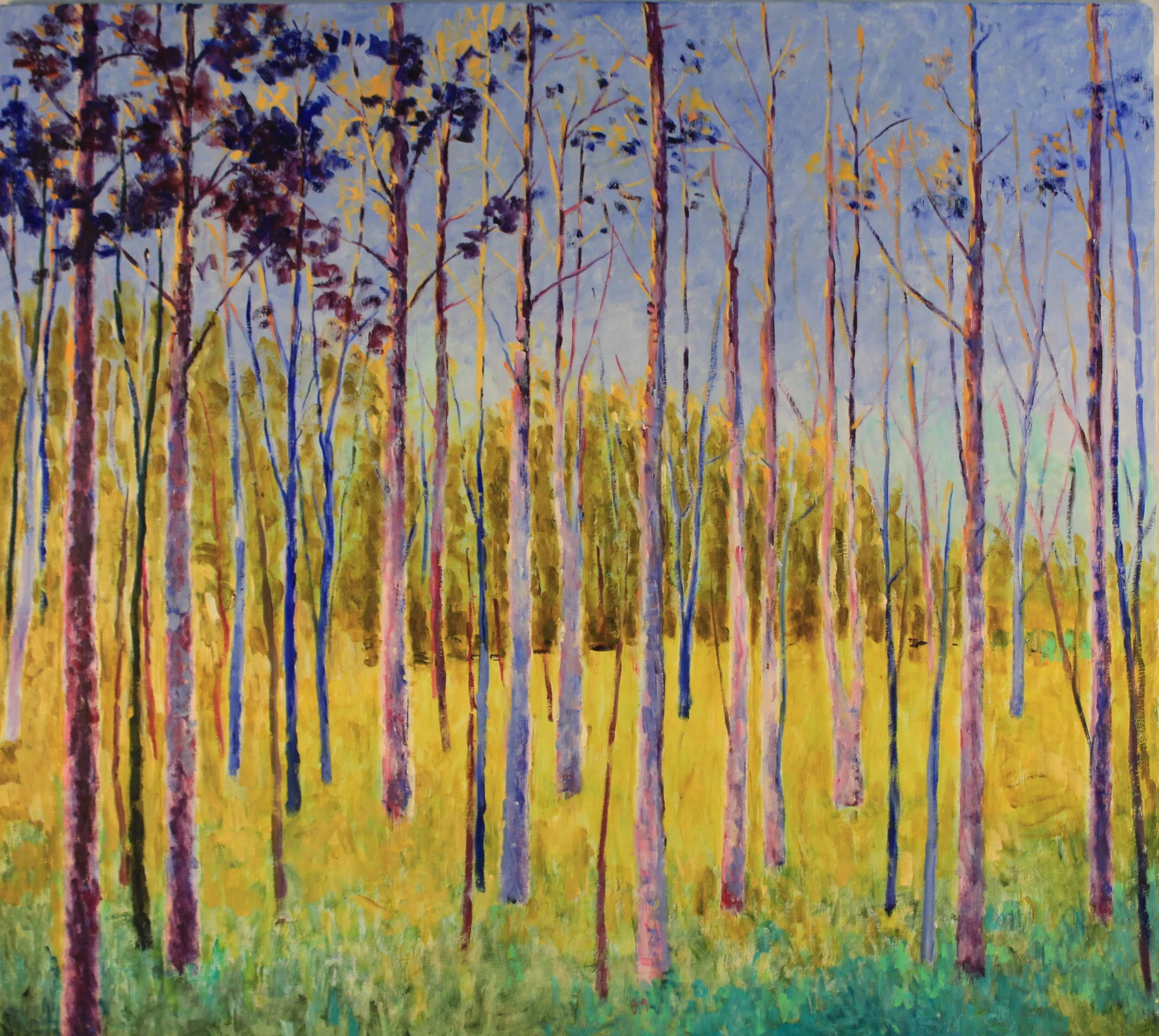 48x54. Oil on canvas. C43.