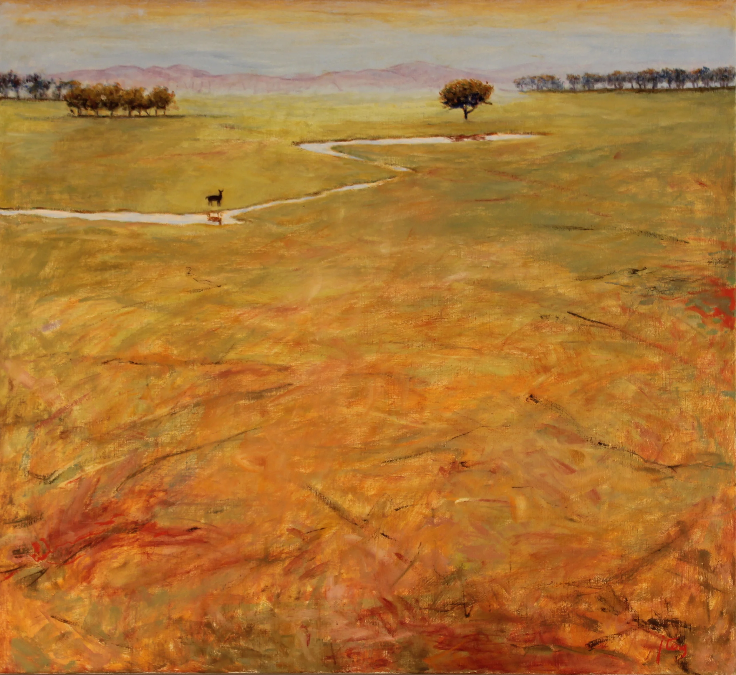 40x44. Oil on canvas. C49.