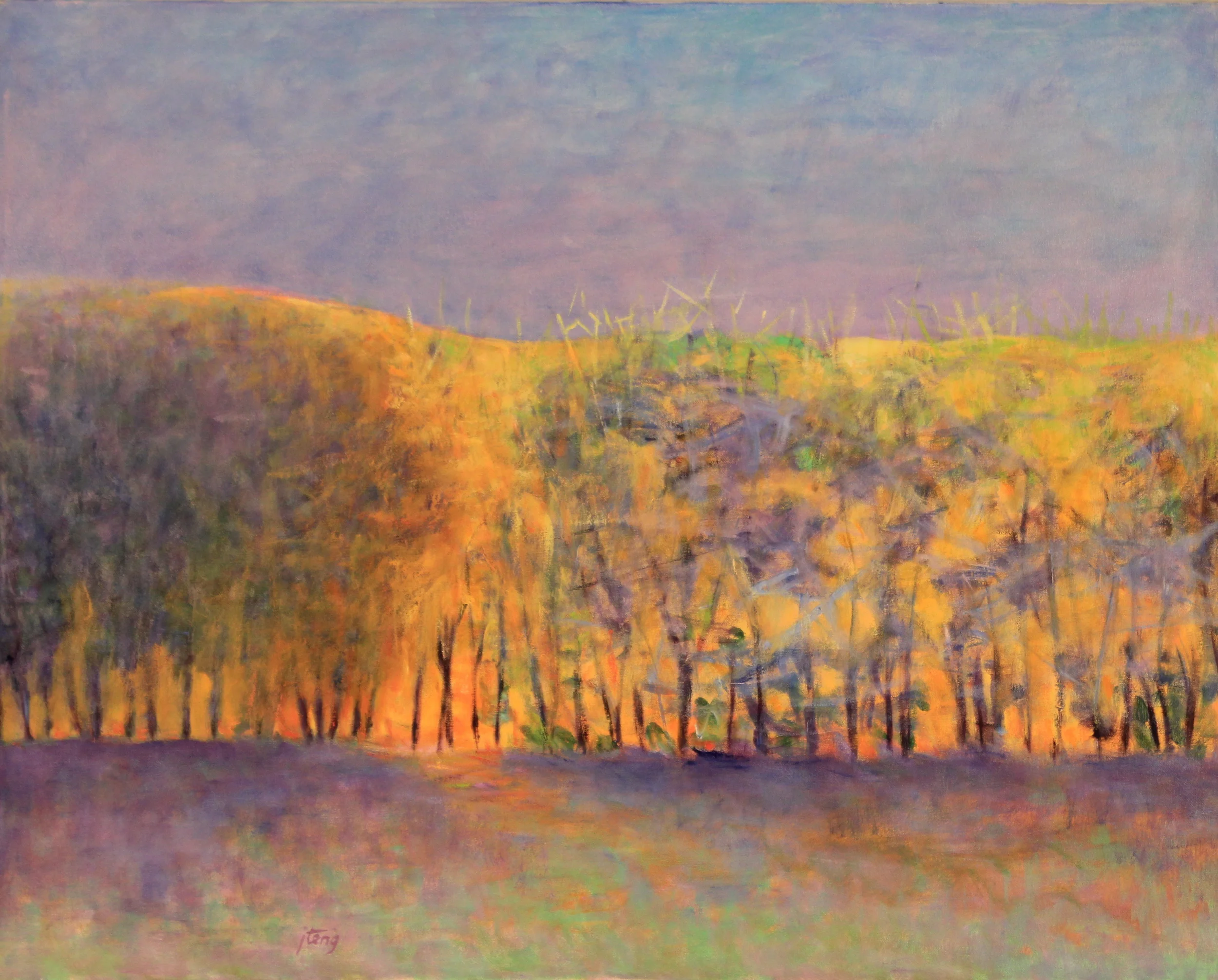 24x30. Oil on canvas. C52.