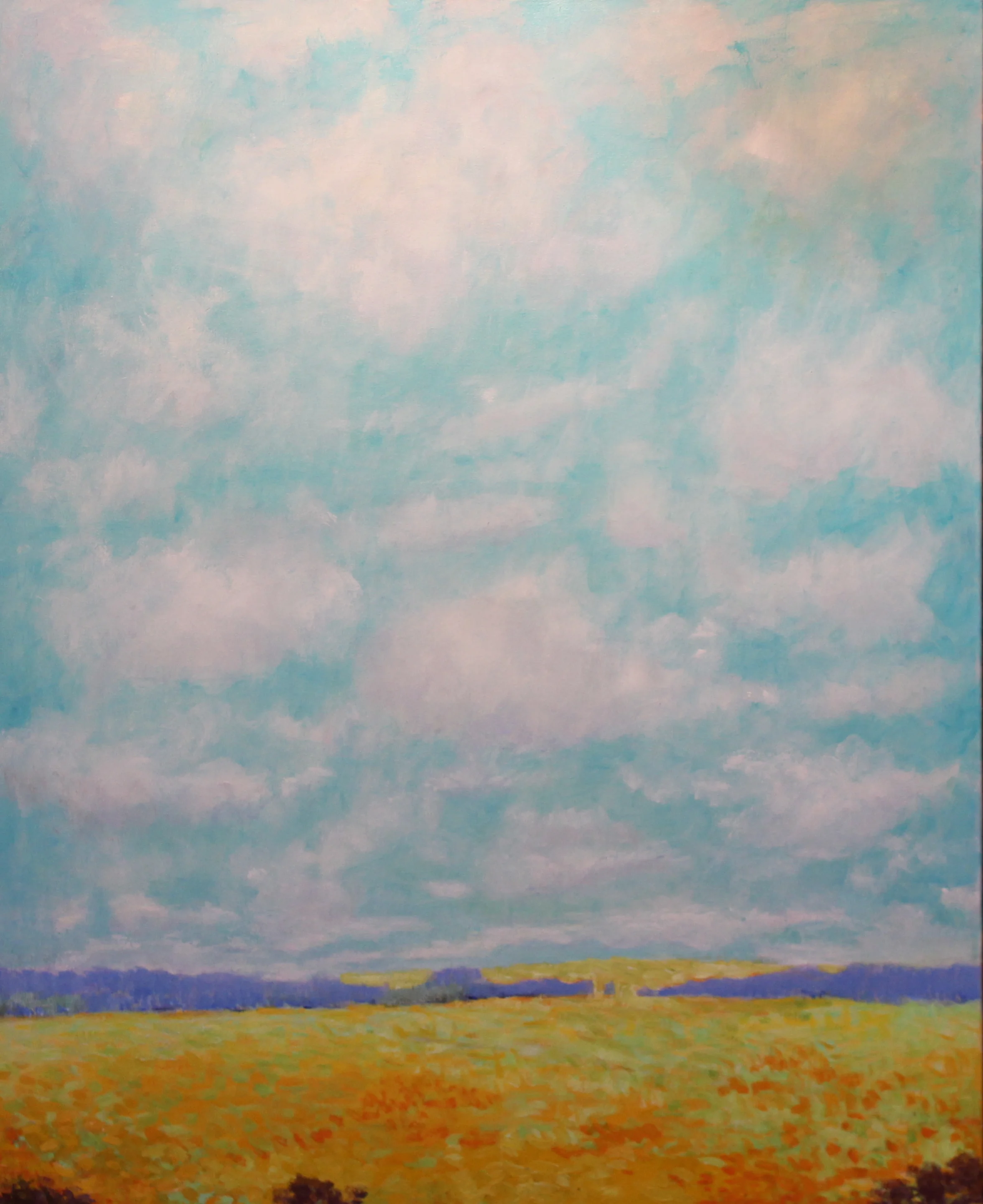 44x36. Oil on canvas. C80.