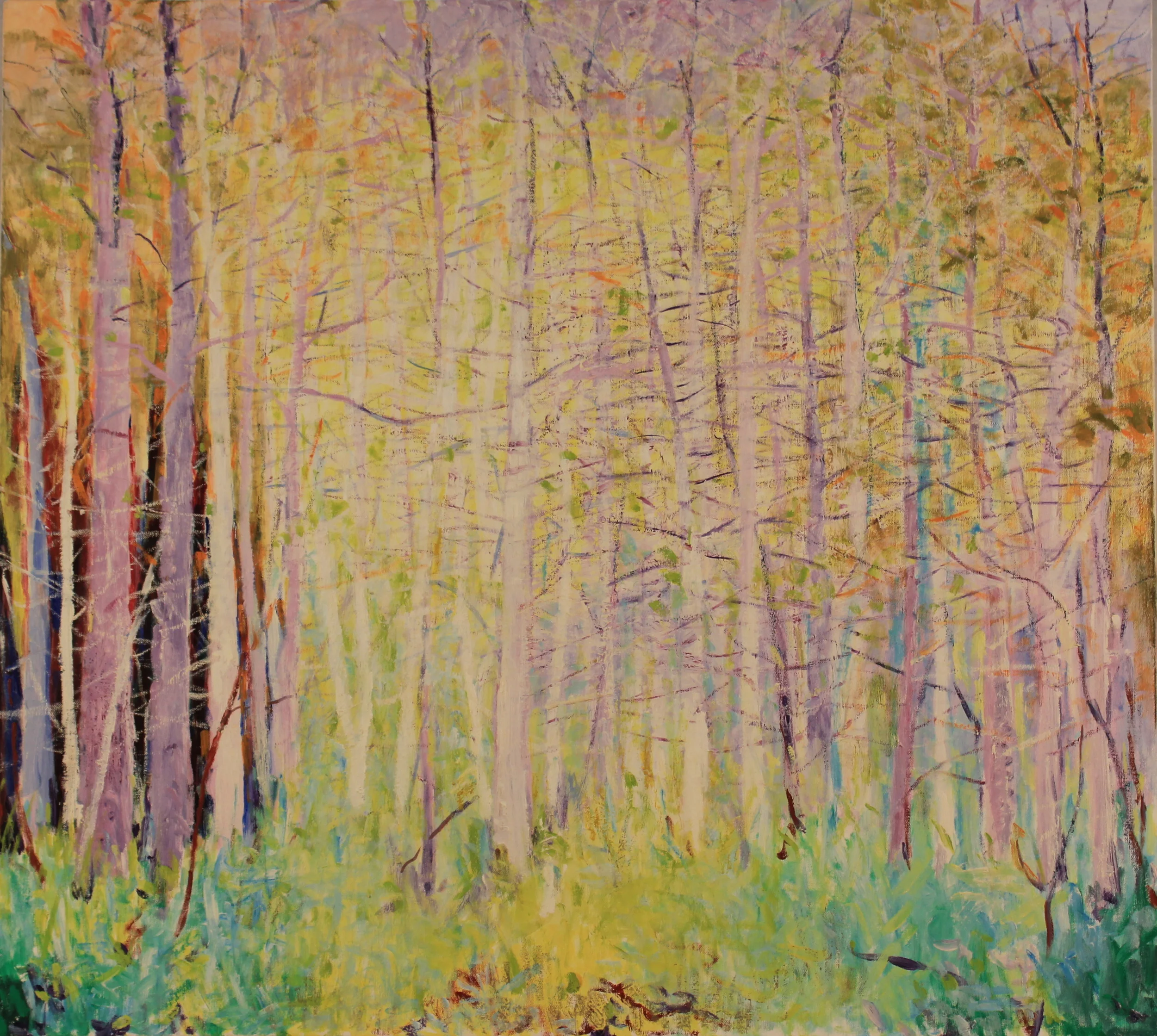 36x40. Oil on canvas. D7.