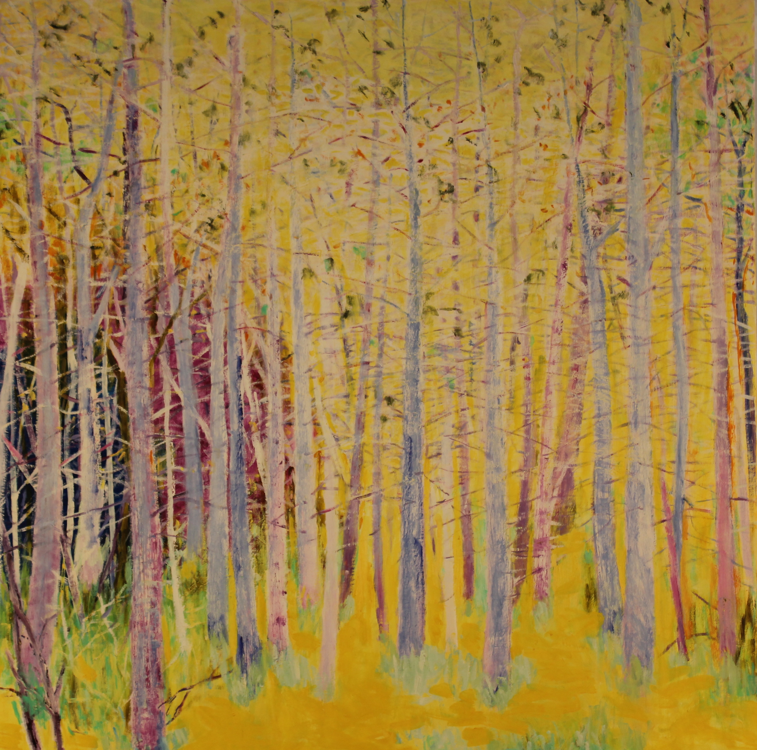 40x40. Oil on canvas. D14.