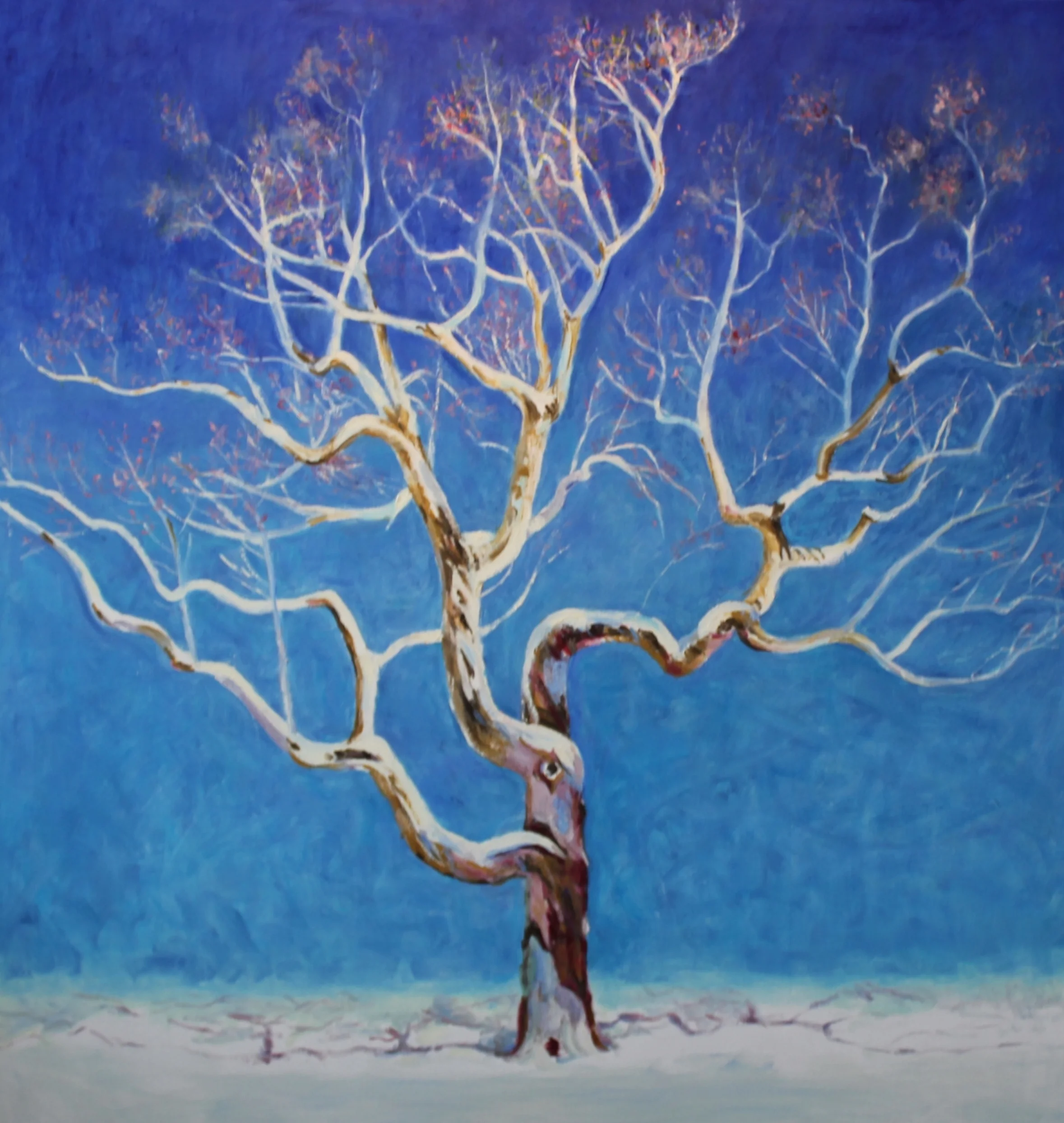 48x50. Oil on canvas. D29.