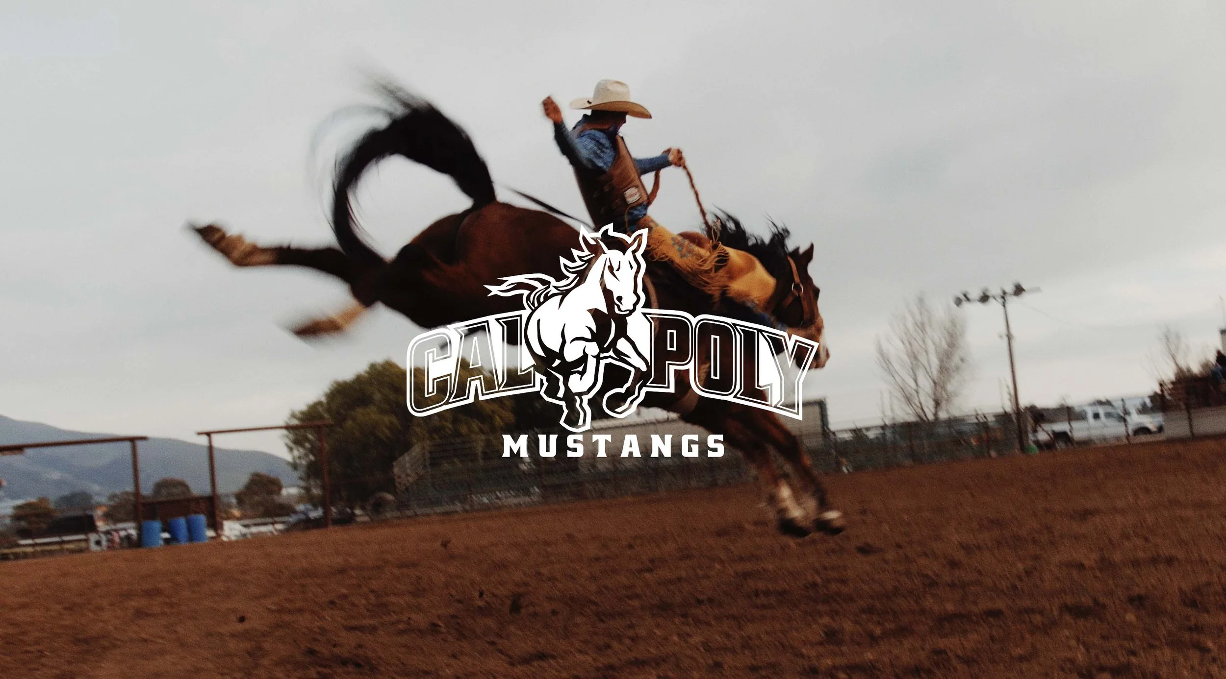 Screenshot 2024-09-03 at 4.21.49 PM copy.jpg