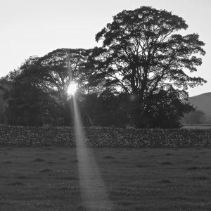 Vulnerability: Our natural state.