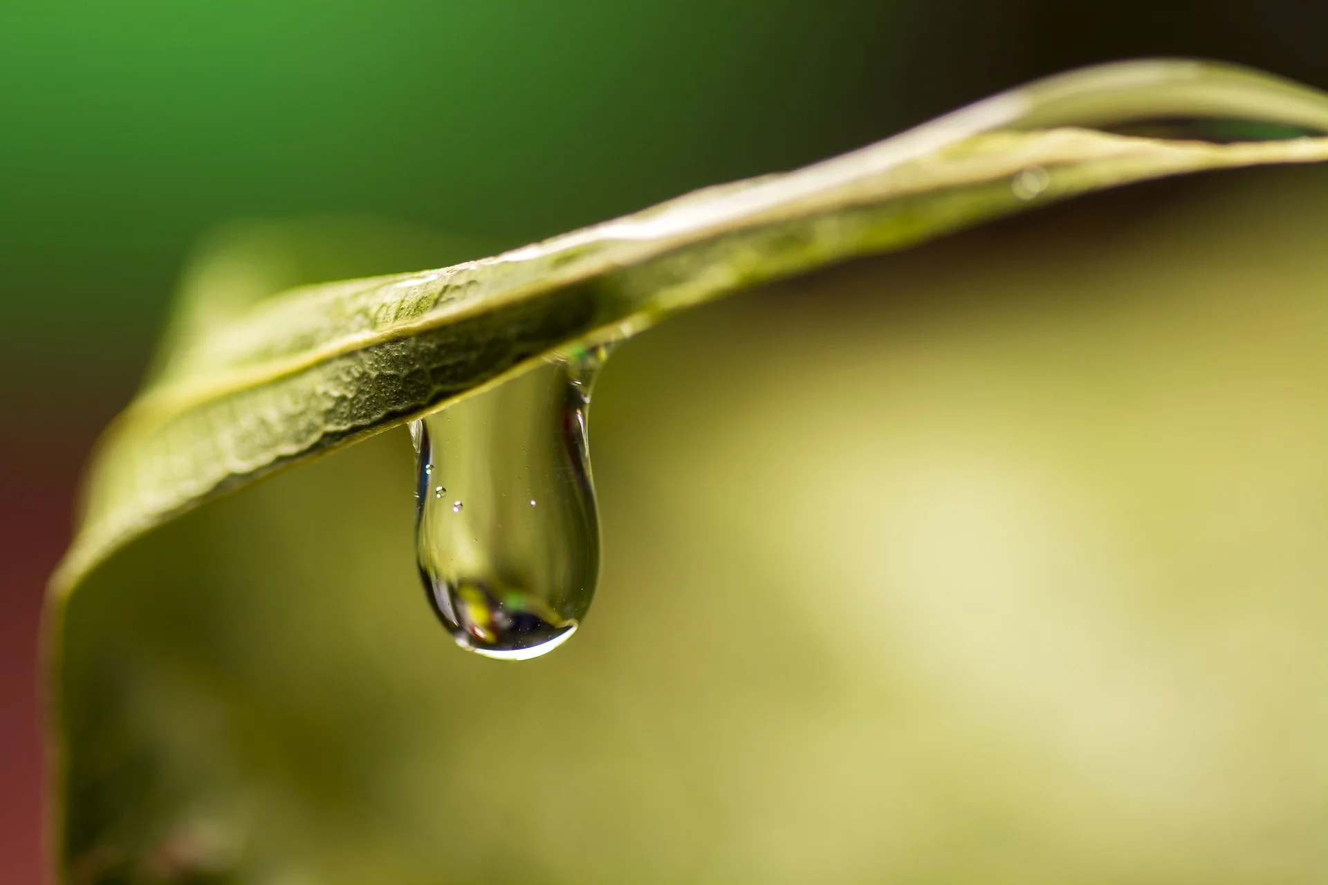 drop-1033537_1920.jpg