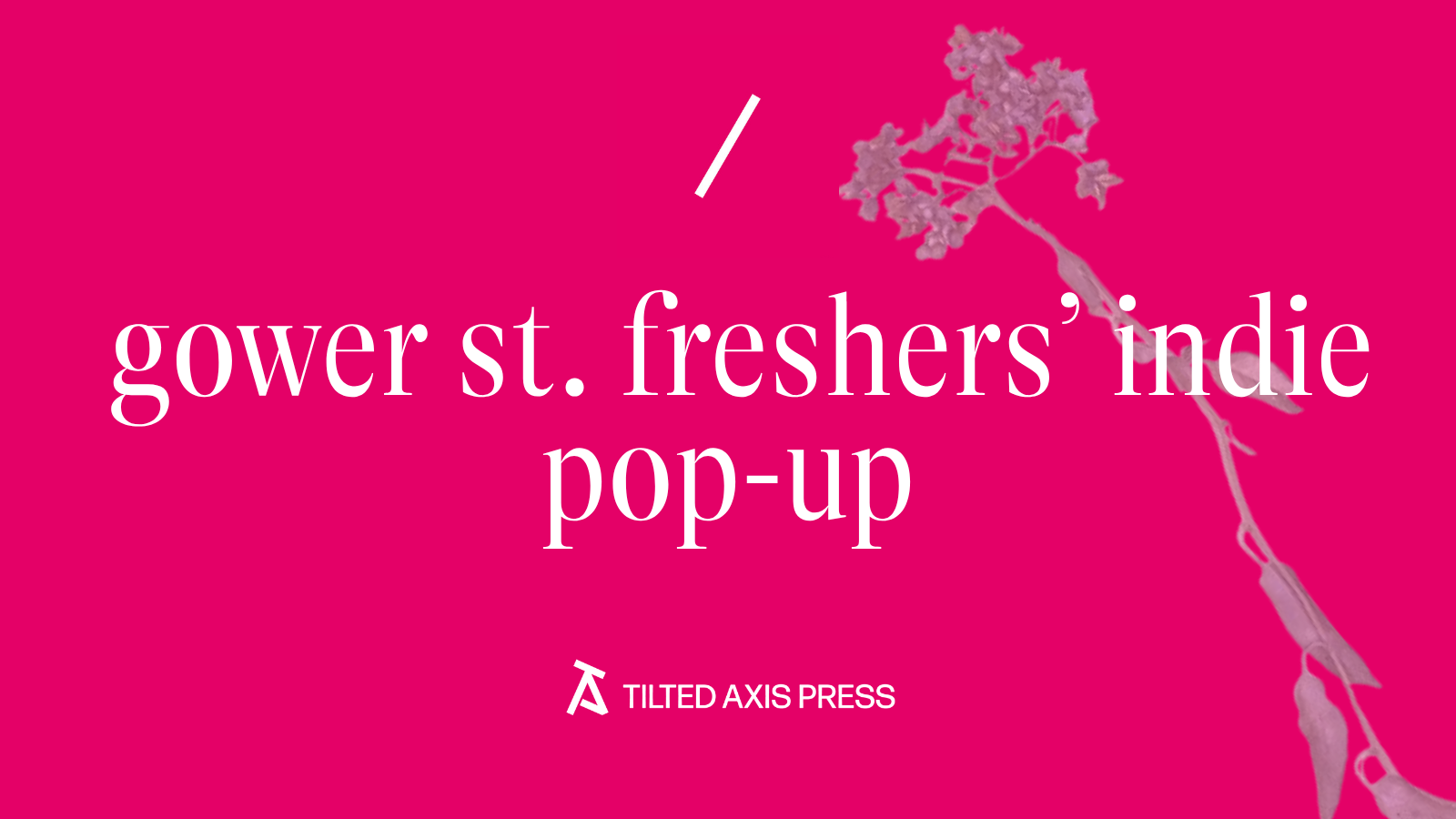 Tilted Axis Press at Gower St. Indie Freshers’ Pop-up