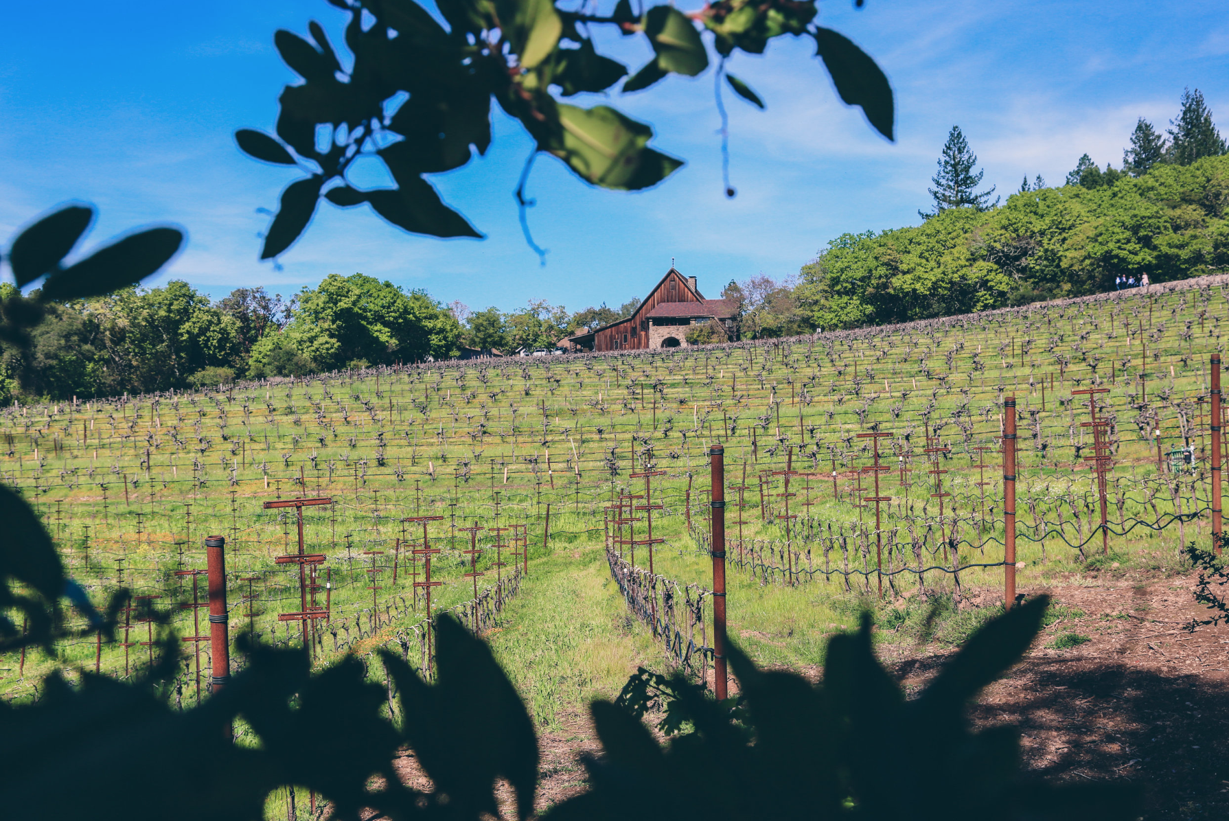 Sonoma, CA