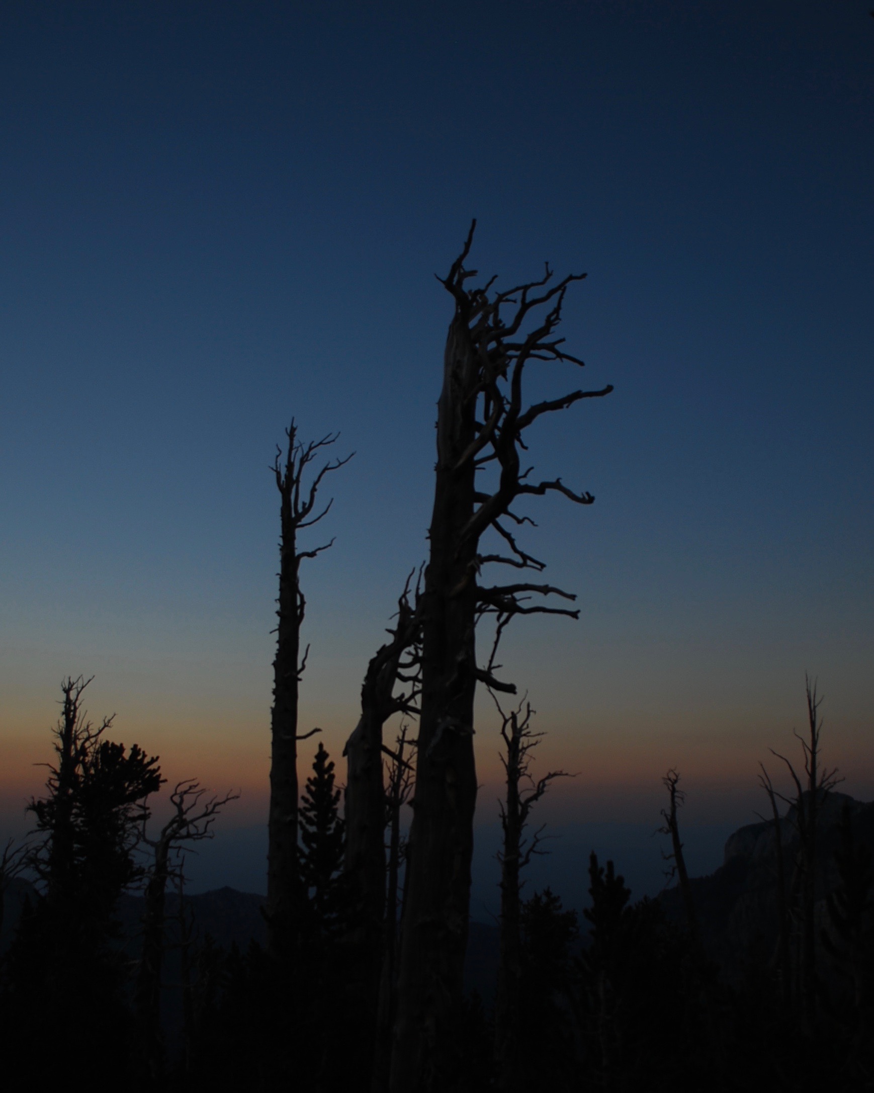 One Rough Weekend in Mt. Charleston