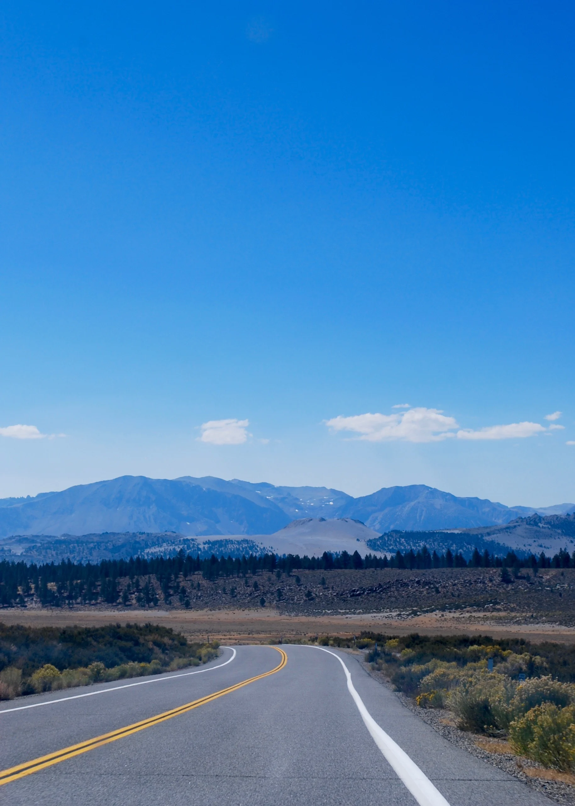 DSC_0021.jpg