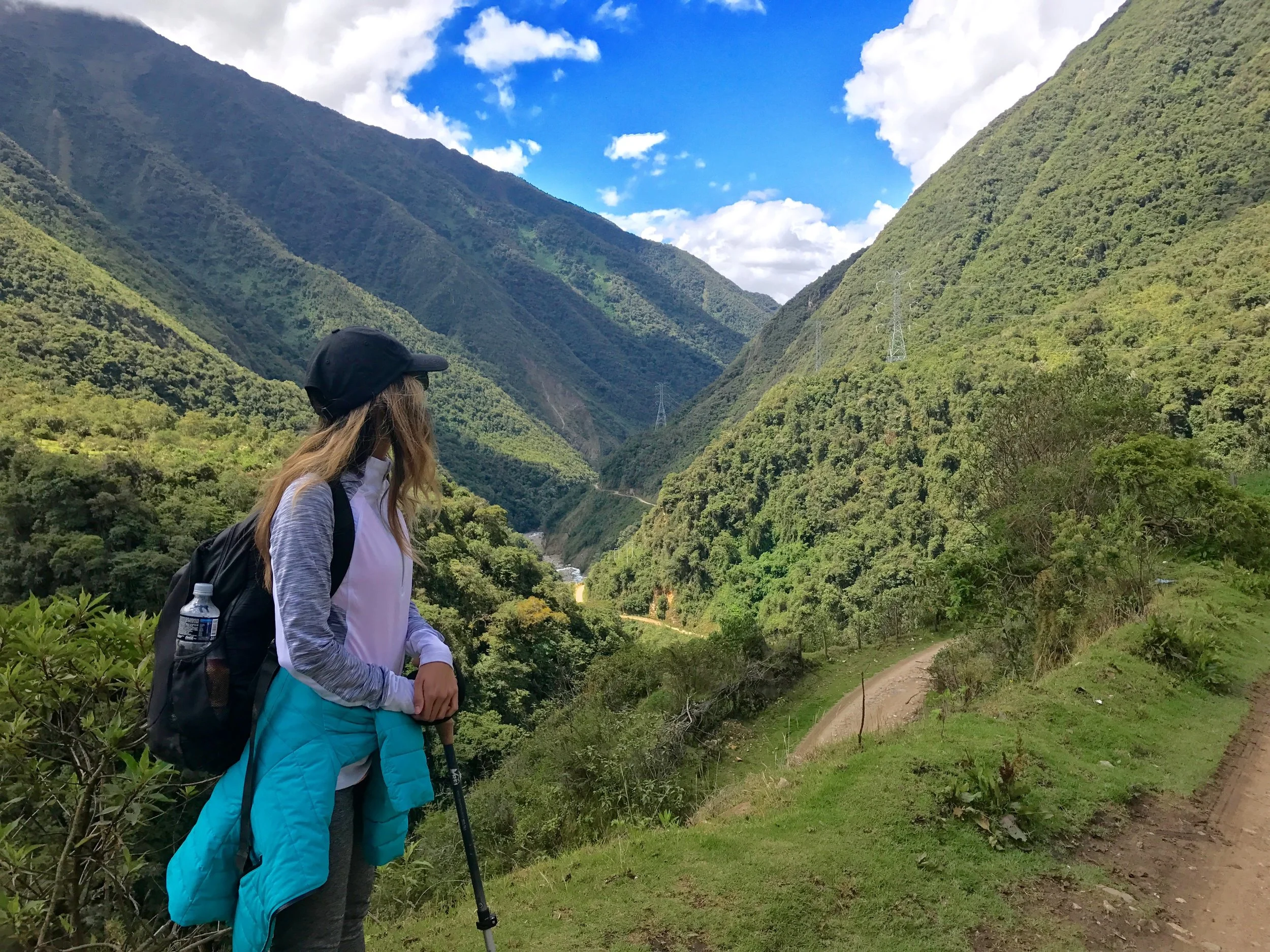 Subtropics surrounding Machu Picchu, Peru 2017