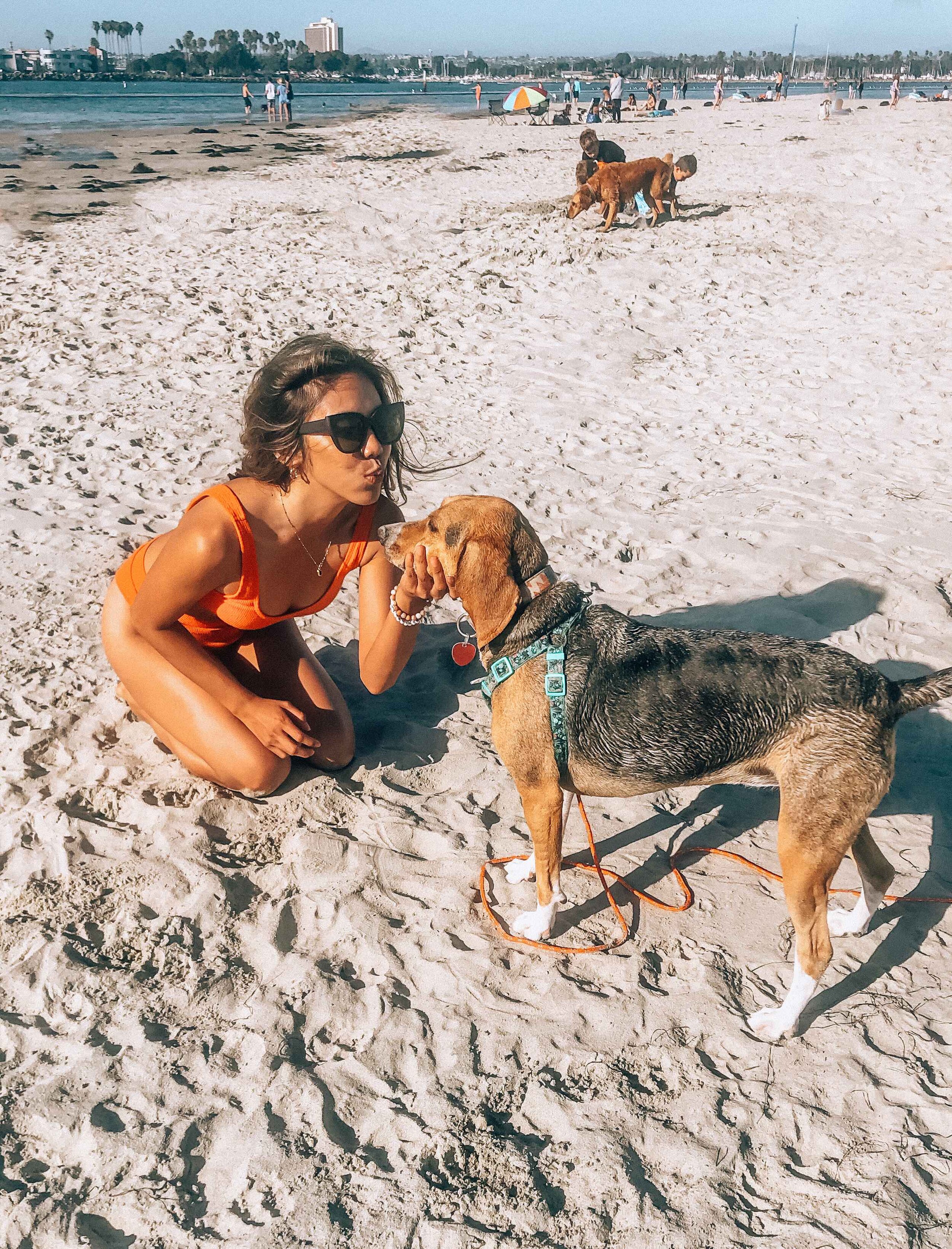 Dog friendly day trips from san diego | Benkens.blog