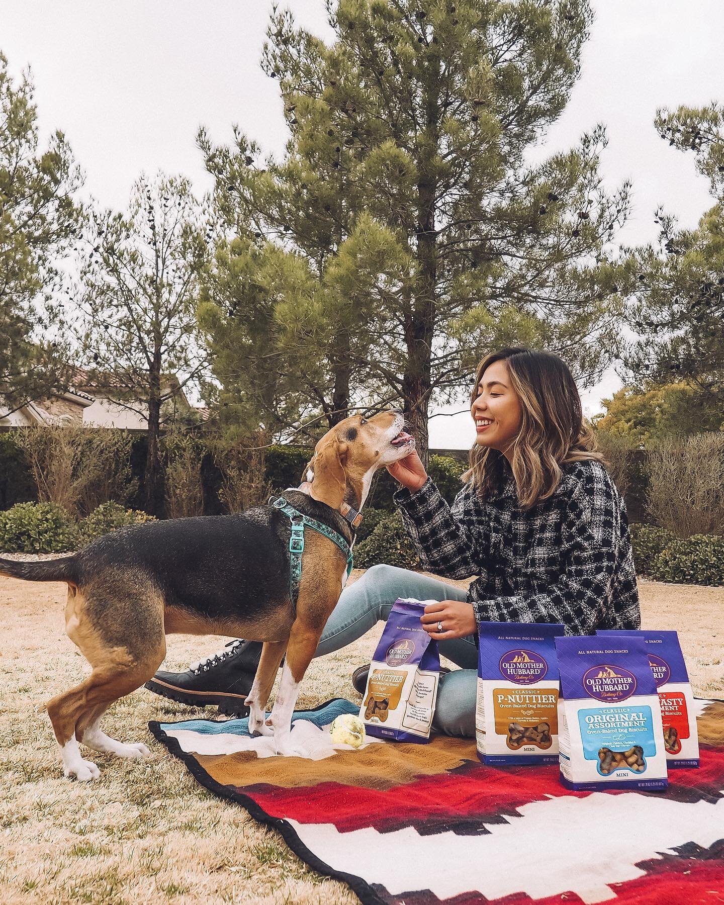 🐶🐾😊 Just when we thought park days couldn't get any better, it can &ndash; especially with the @oldmotherhubbarddogsnacks! #ad Stella and I have been spending a lot of time together since I started working from home. She has been enjoying the comp