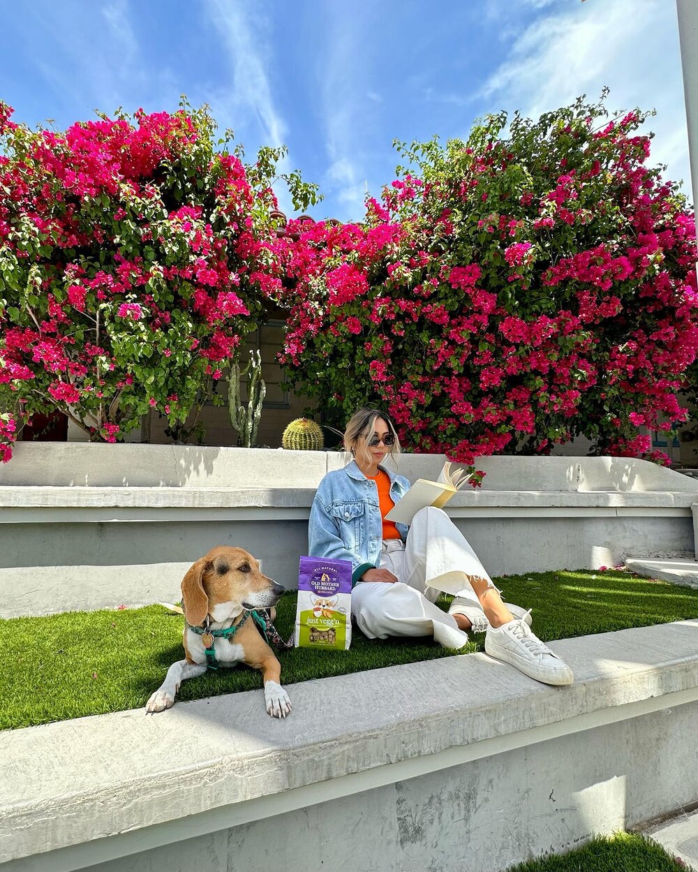 🌺 The best kind of spring day is spending it outdoors with our favorite things: a book for me and #OldMotherHubbardbyWellness dog treats for Stella. @wellnesspetfood #WellnessPetFoodPartner #WellnessPet