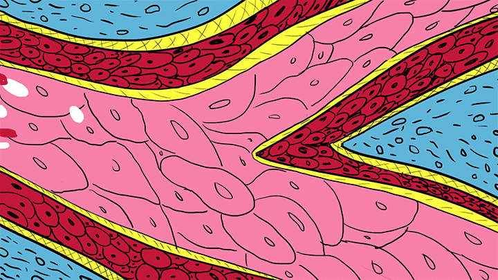 bloodstream.gif