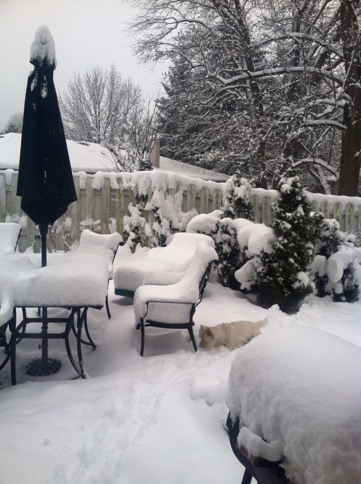 Winter 2013
